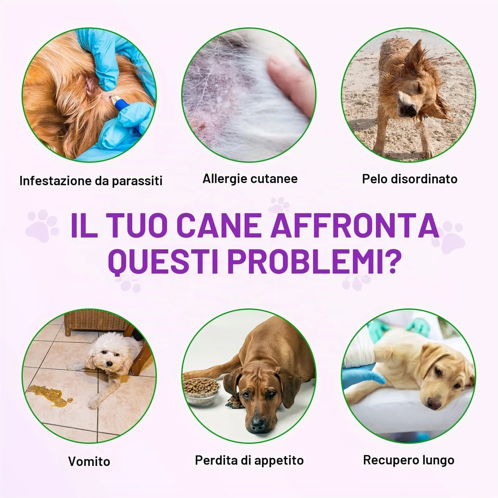 Feeliville Allergie Relief Dog Treats,150 Pezzi Prurito per la Pelle del Cane Che Mastica, Smetti di Prurito, Leccare, Graffiare, Allergie Stagionali, per Tutte Le Razze e Dimensioni di Cani,Anatra - immagine 3