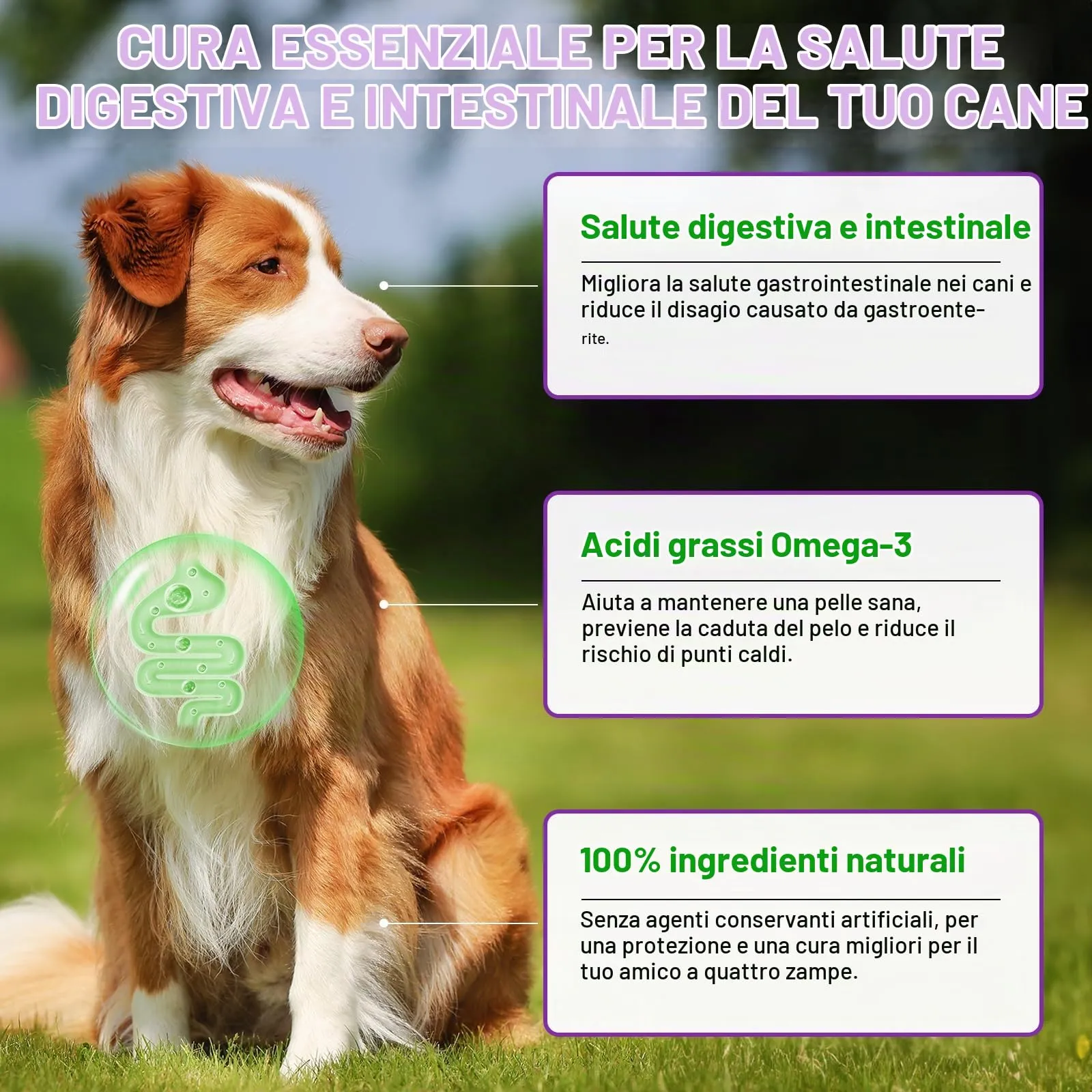 Feeliville Allergie Relief Dog Treats,150 Pezzi Prurito per la Pelle del Cane Che Mastica, Smetti di Prurito, Leccare, Graffiare, Allergie Stagionali, per Tutte Le Razze e Dimensioni di Cani,Anatra - immagine 4