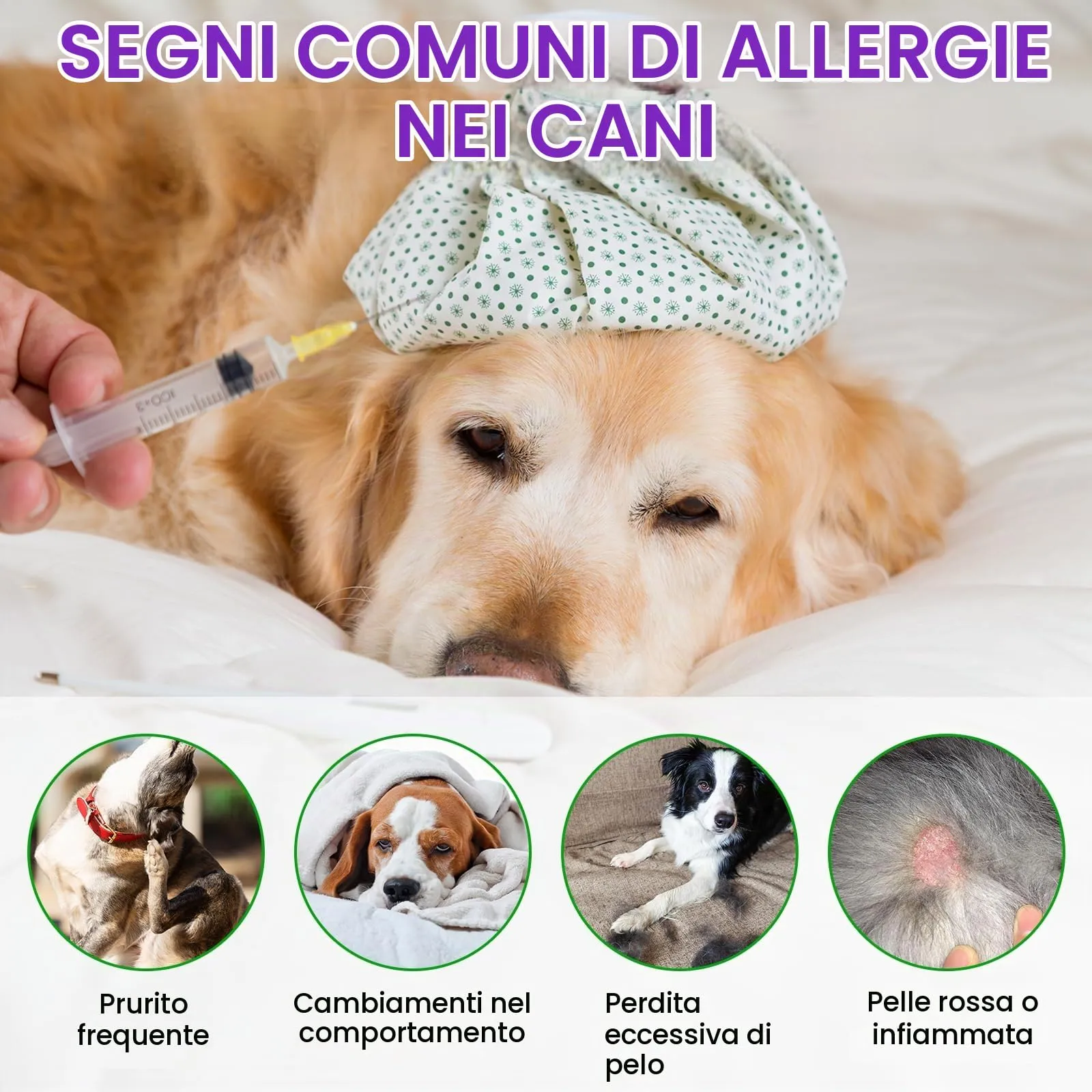 Feeliville Allergie Relief Dog Treats,150 Pezzi Prurito per la Pelle del Cane Che Mastica, Smetti di Prurito, Leccare, Graffiare, Allergie Stagionali, per Tutte Le Razze e Dimensioni di Cani,Anatra - immagine 6