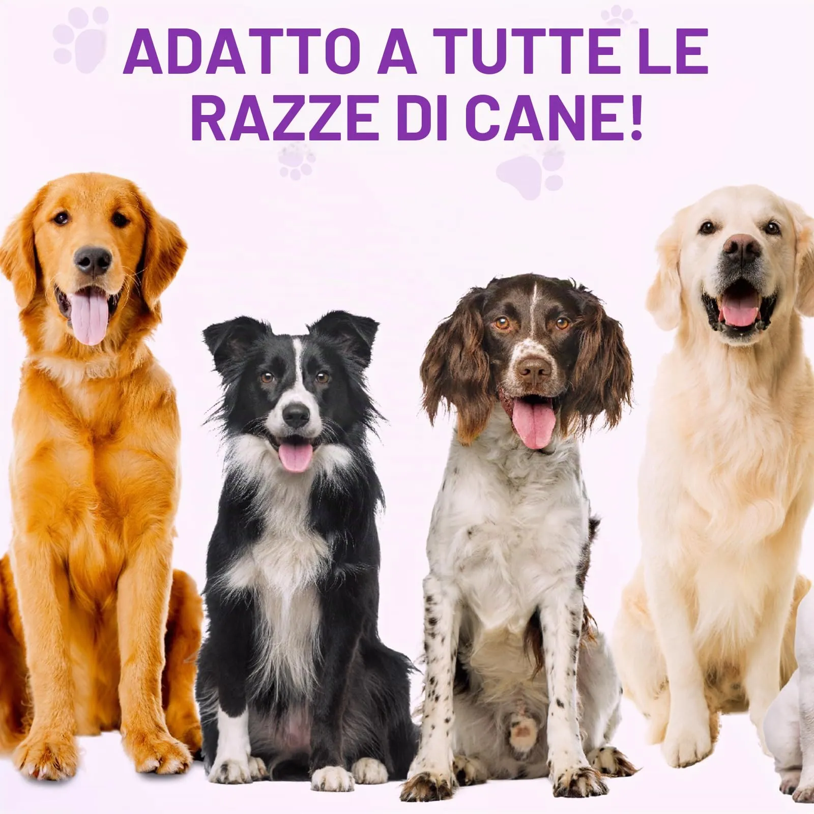 Feeliville Allergie Relief Dog Treats,150 Pezzi Prurito per la Pelle del Cane Che Mastica, Smetti di Prurito, Leccare, Graffiare, Allergie Stagionali, per Tutte Le Razze e Dimensioni di Cani,Anatra - immagine 9