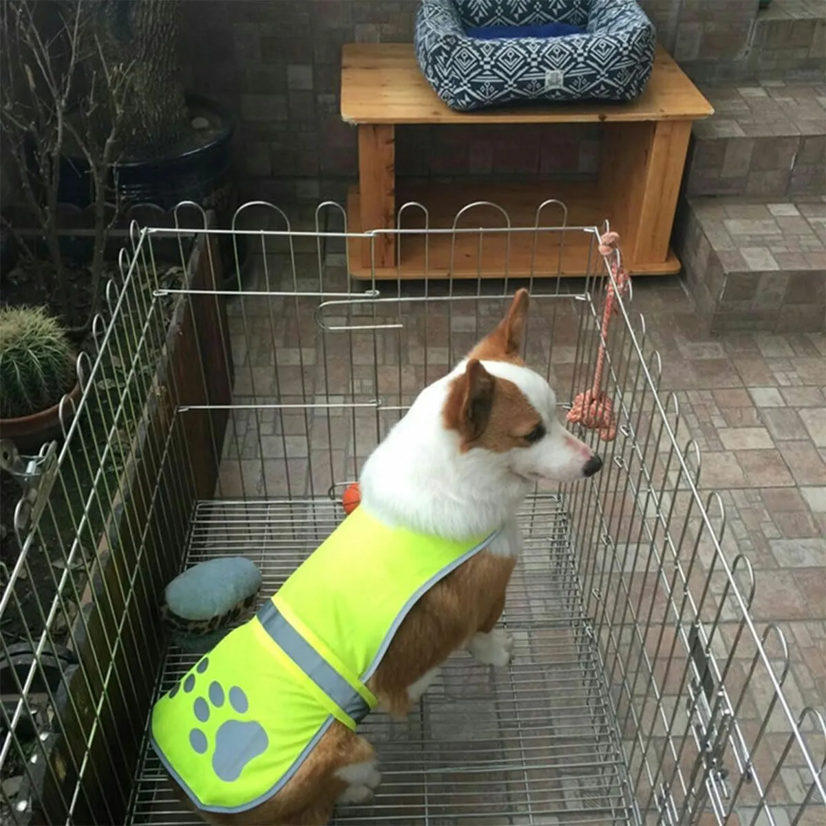 Gilet Catarifrangente per Cane,Sicurezza Maglia del Cane,Dog Giubbotto Riflettente di Sicurezza,Costume Riflettente per Cani,Per Cani Mantiene Vostro Visibile Sicuro Auto Incidenti Da Caccia(L) - immagine 5