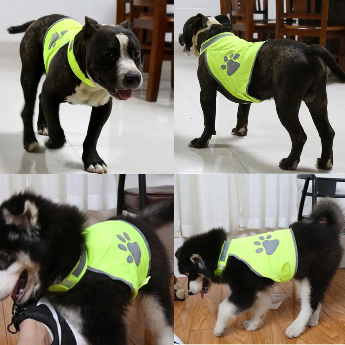 Gilet Catarifrangente per Cane,Sicurezza Maglia del Cane,Dog Giubbotto Riflettente di Sicurezza,Costume Riflettente per Cani,Per Cani Mantiene Vostro Visibile Sicuro Auto Incidenti Da Caccia(L) - immagine 7