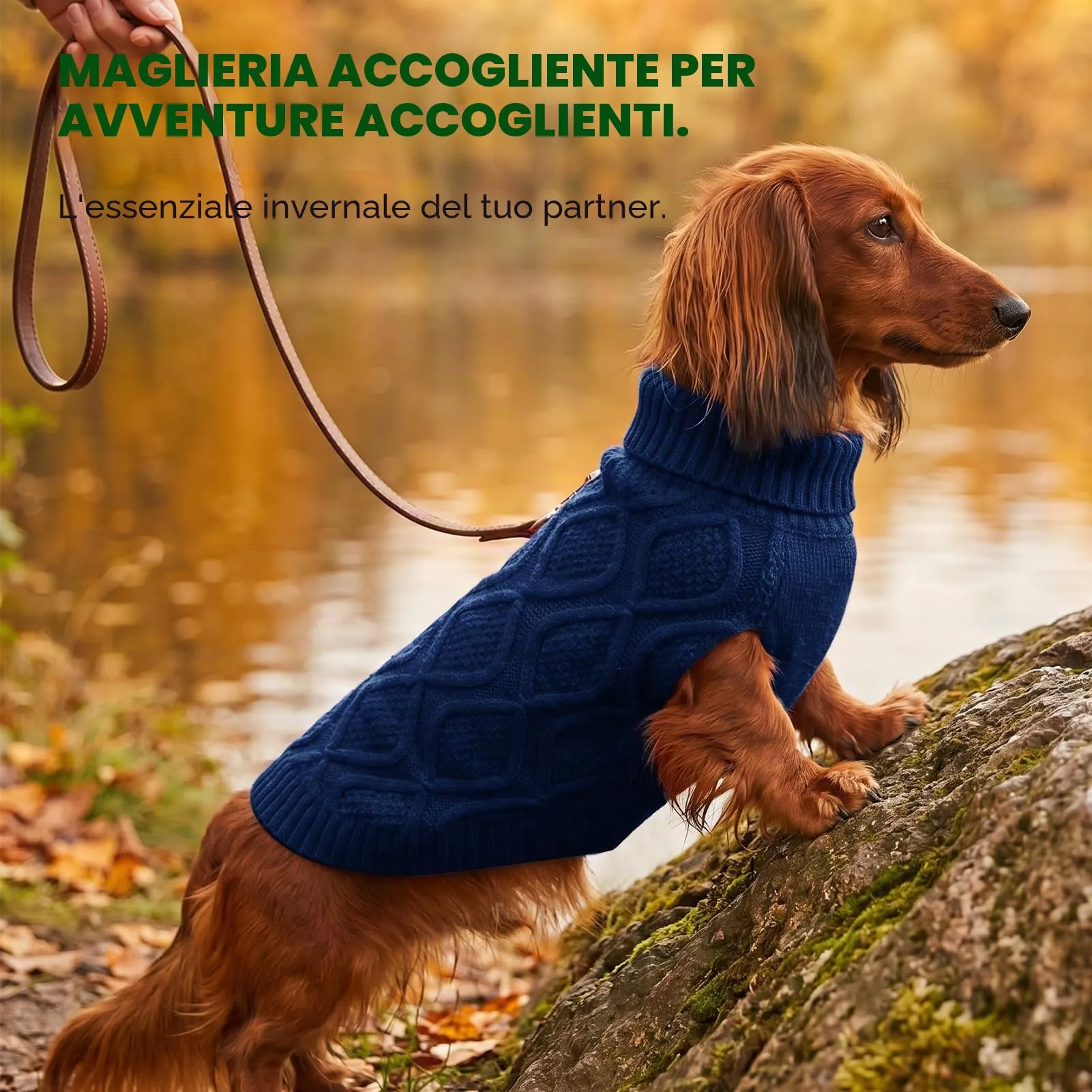 KONVINIT Maglione per Cani Taglia Media Collo Alto Senza Maniche Inverno - immagine 8