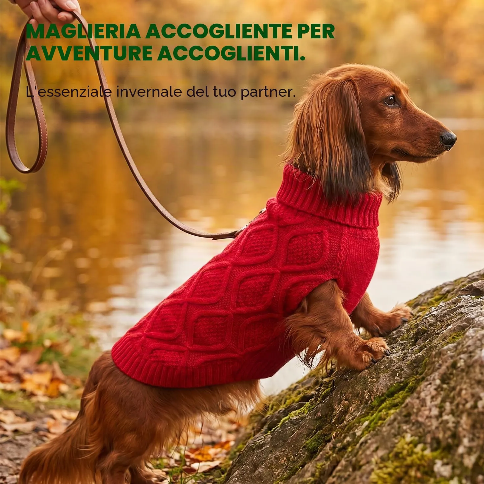 KONVINIT Maglione per Cani Piccoli Collo Alto Senza Maniche Inverno Caldo - immagine 7