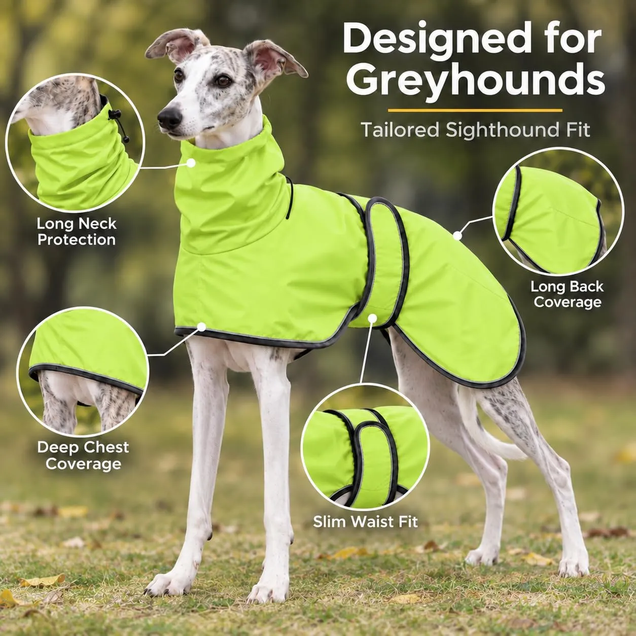 MOREZI Impermeabile Greyhound, giacca impermeabile per cani, foro per il collo e cintura regolabile, adatto a cani di taglia media e grande-Verde-L - immagine 2
