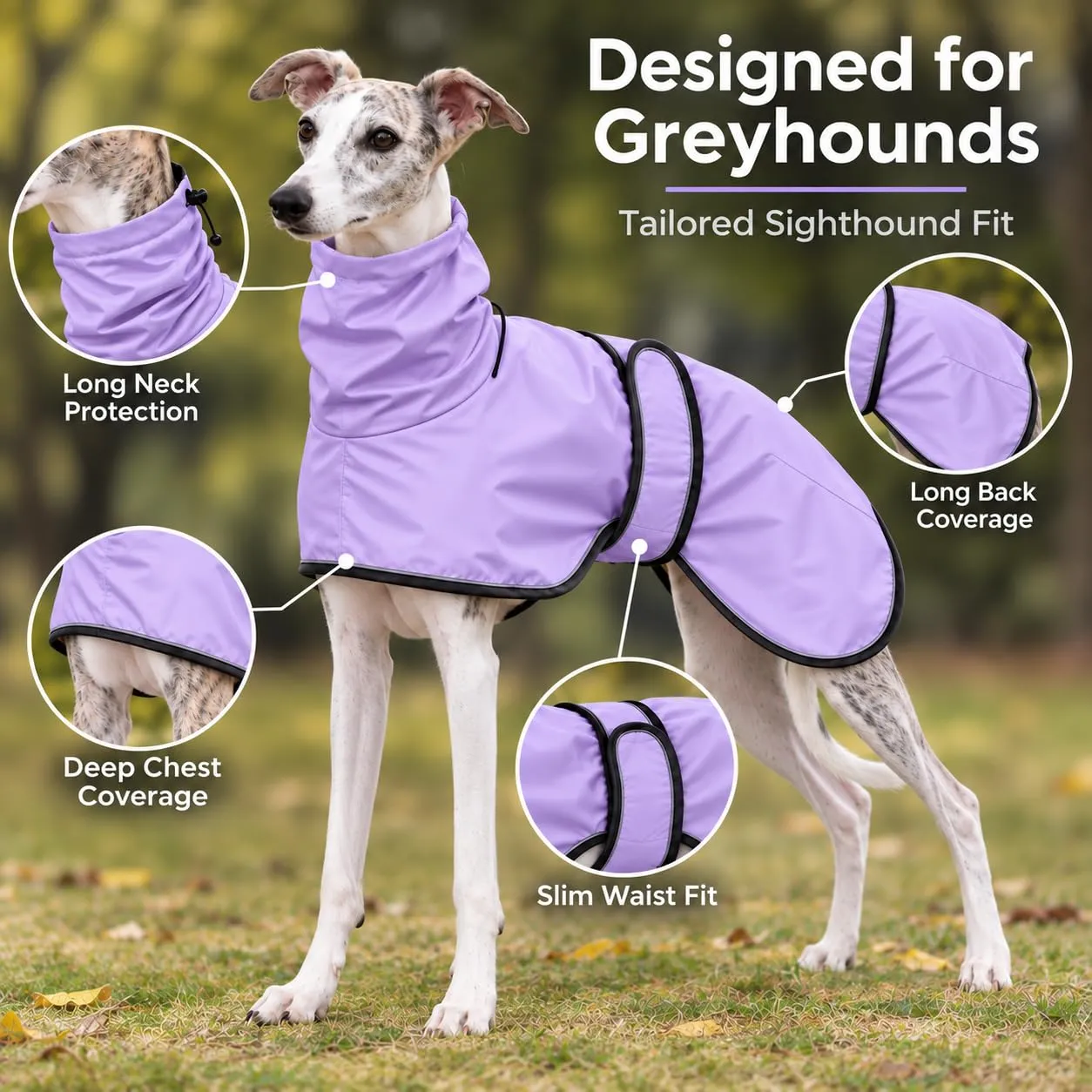 MOREZI Impermeabile Greyhound, giacca impermeabile per cani, foro per il collo e cintura regolabile, adatto a cani di taglia media e grande-Viola-XXXL - immagine 2