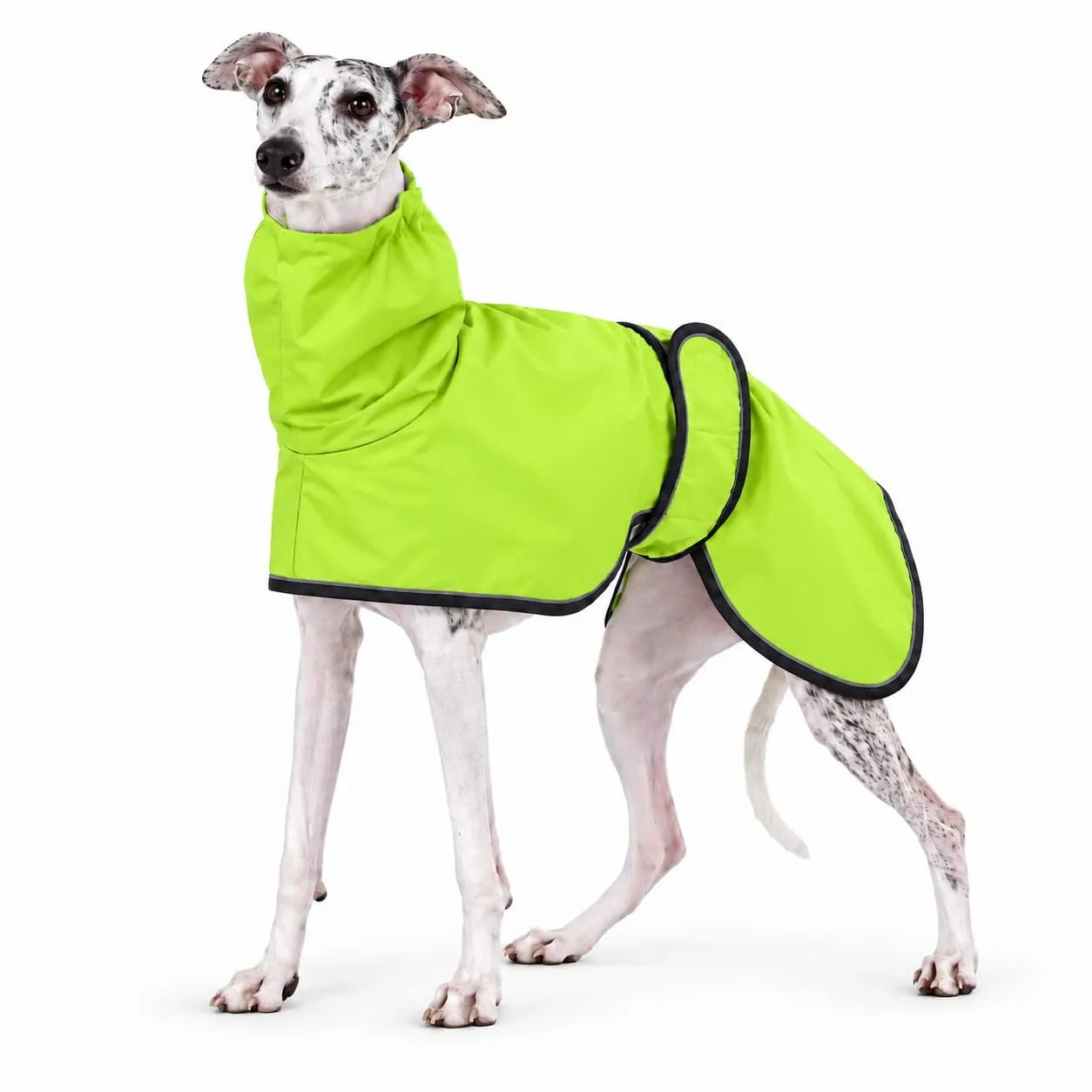 MOREZI Impermeabile Greyhound, giacca impermeabile per cani, foro per il collo e cintura regolabile, adatto a cani di taglia media e grande-Verde-S - immagine 1