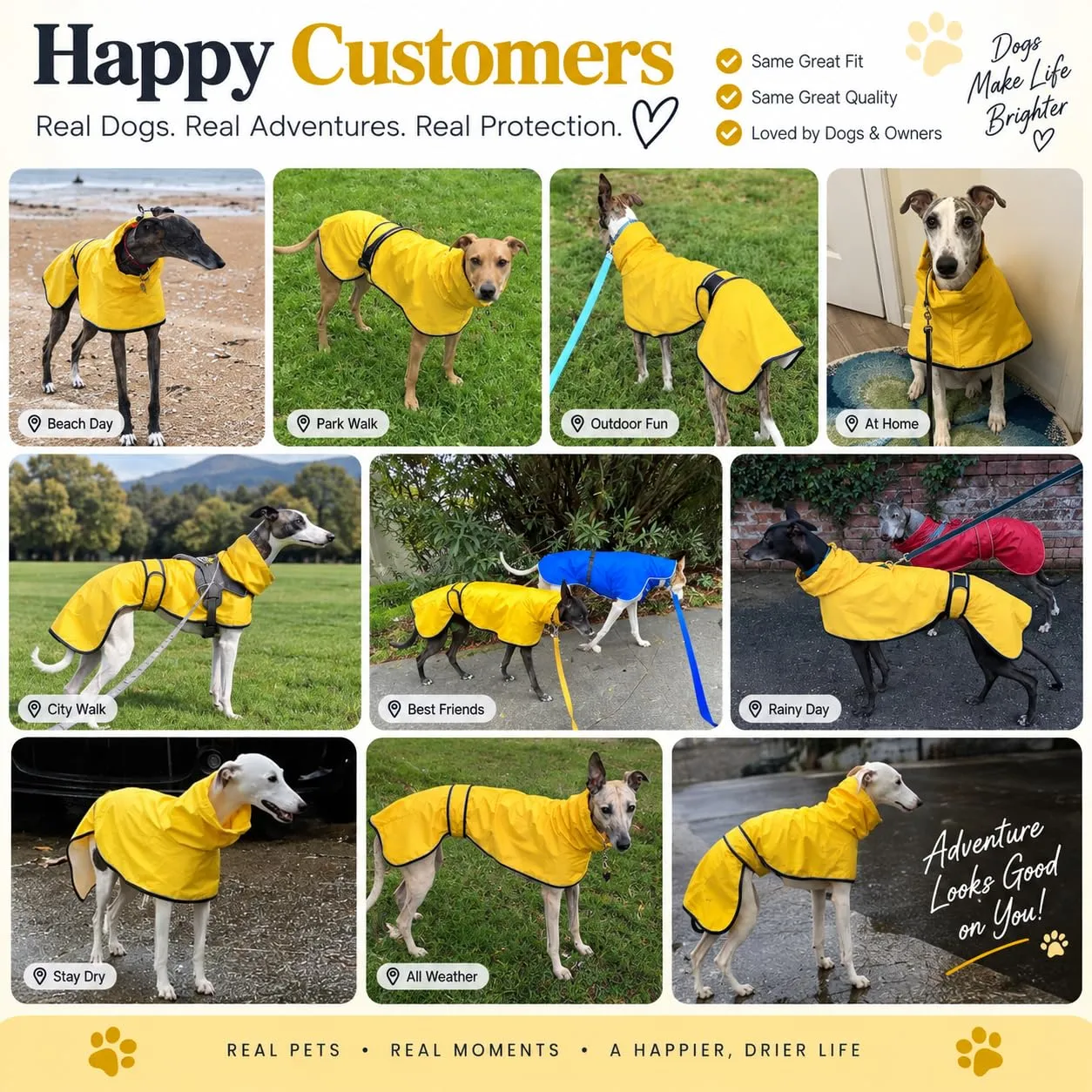 MOREZI Impermeabile Greyhound, giacca impermeabile per cani, foro per il collo e cintura regolabile, adatto a cani di taglia media e grande-Viola-L - immagine 6
