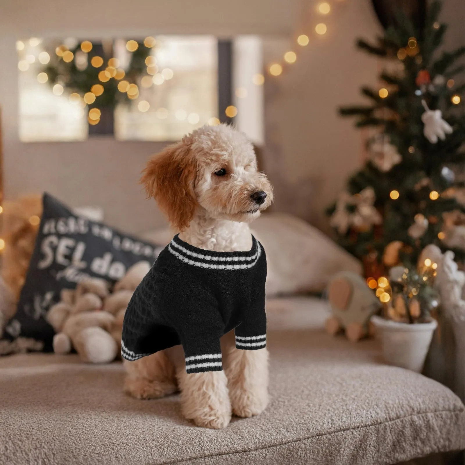 LiebeDD Maglione Cane - Maglioncino per Cane di Taglia Piccola Media e Grande, Lavorato a Maglia Cani, Spesso e Termica, per Chihuahua, Barboncino, Bulldog, Bassotto e Labrador (Nero, M) - immagine 5