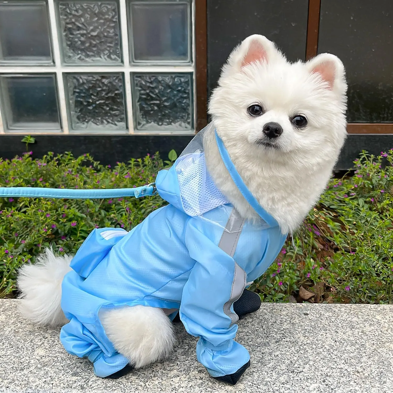 UzeEnde - Impermeabile per cani con cappuccio - Tuta impermeabile a copertura completa per quattro zampe con scarpe, asciugatura rapida, per animali domestici, per cani di taglia piccola, media e - immagine 3