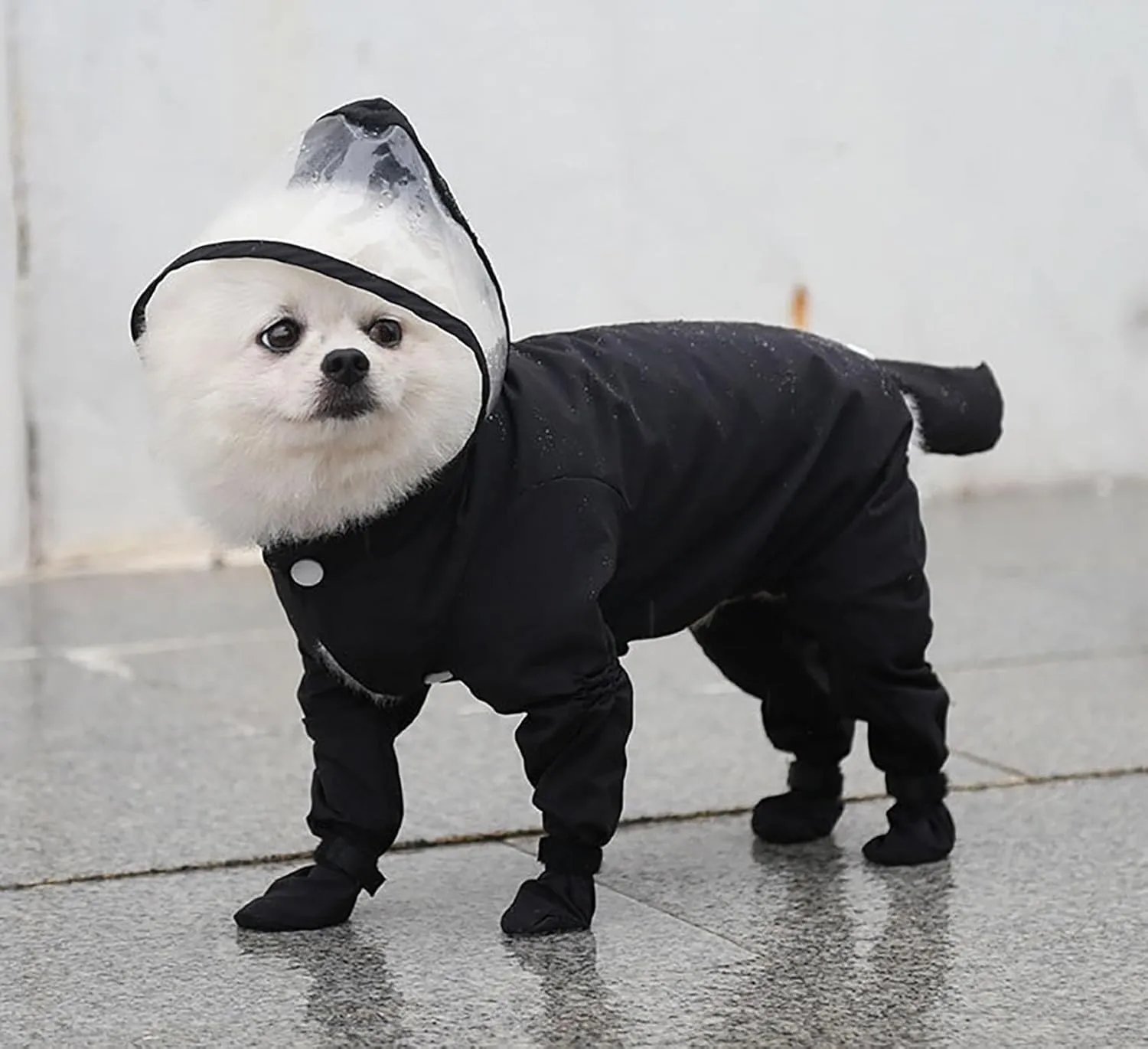 Cappotto antipioggia per cani con cappuccio, copertura completa impermeabile, tuta antipioggia a quattro zampe con scarpe ad asciugatura rapida per animali domestici di taglia piccola, media e - immagine 3