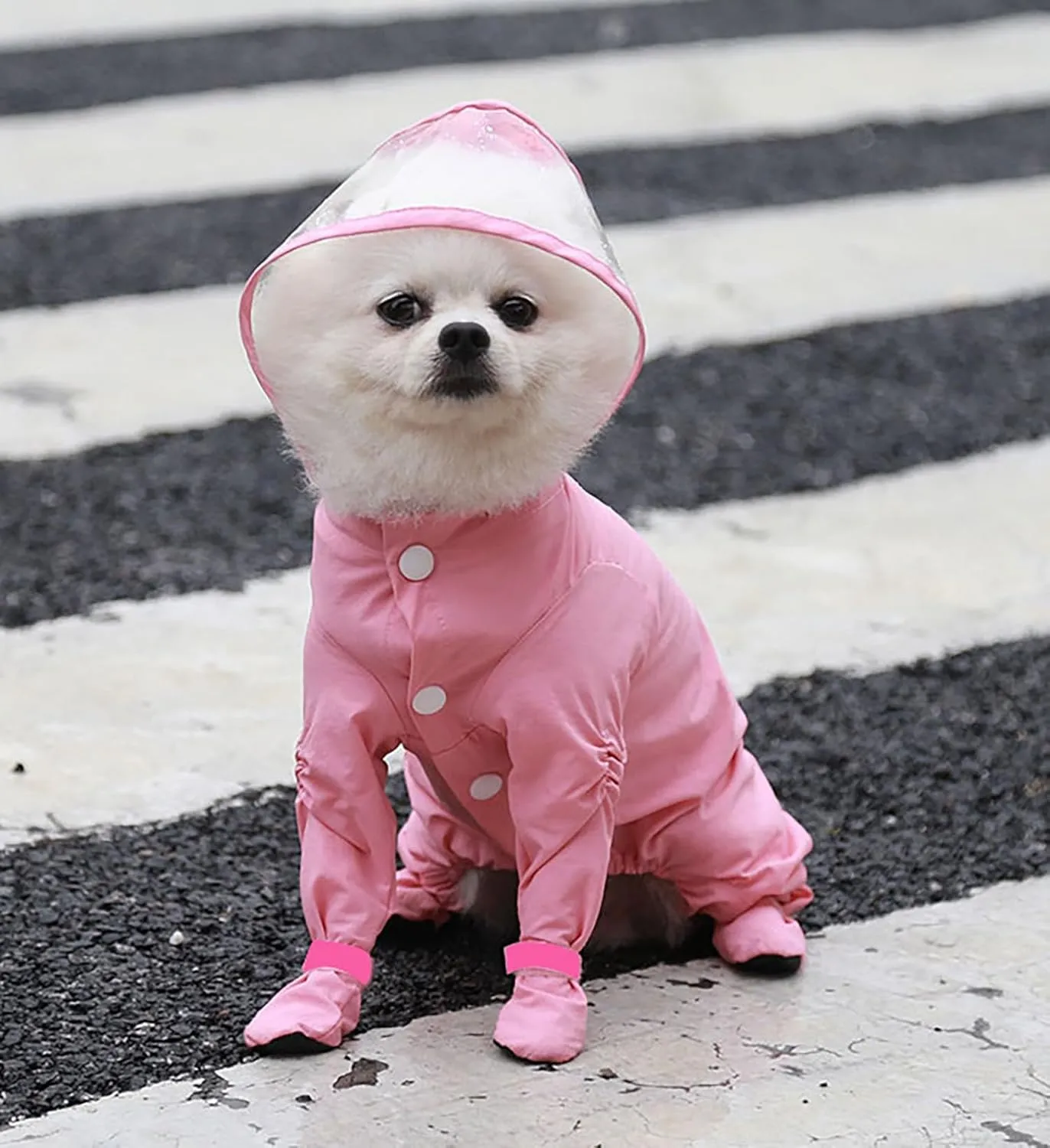Impermeabile per cani con cappuccio - Tuta antipioggia impermeabile a copertura completa a quattro zampe con scarpe ad asciugatura rapida, giacca antipioggia per esterni per cani di taglia piccola - immagine 2