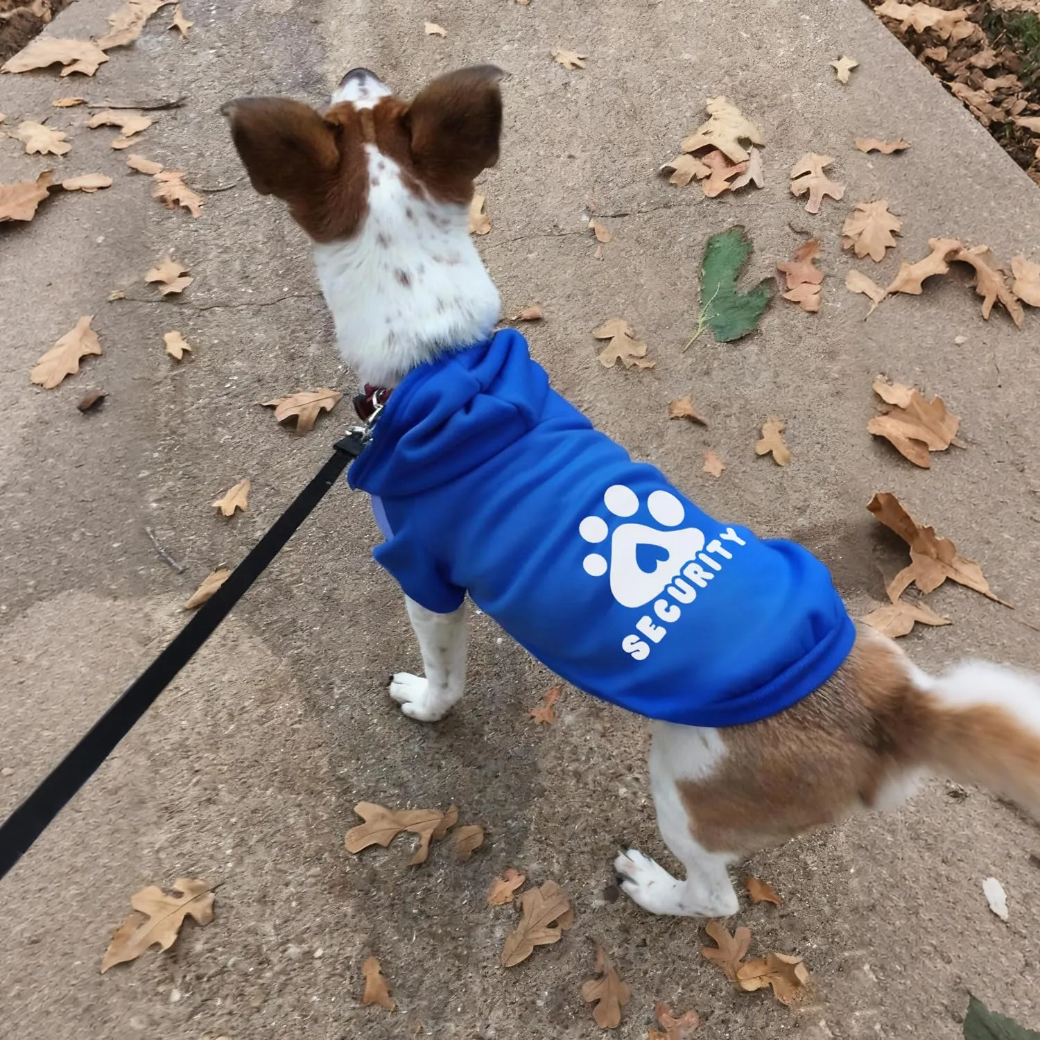 Dolahovy Felpa con cappuccio per cani Abbigliamento per animali domestici Morbida Maglia per cani Maglioni Costumi autunno inverno (Blu Navio, 3XL) - immagine 6