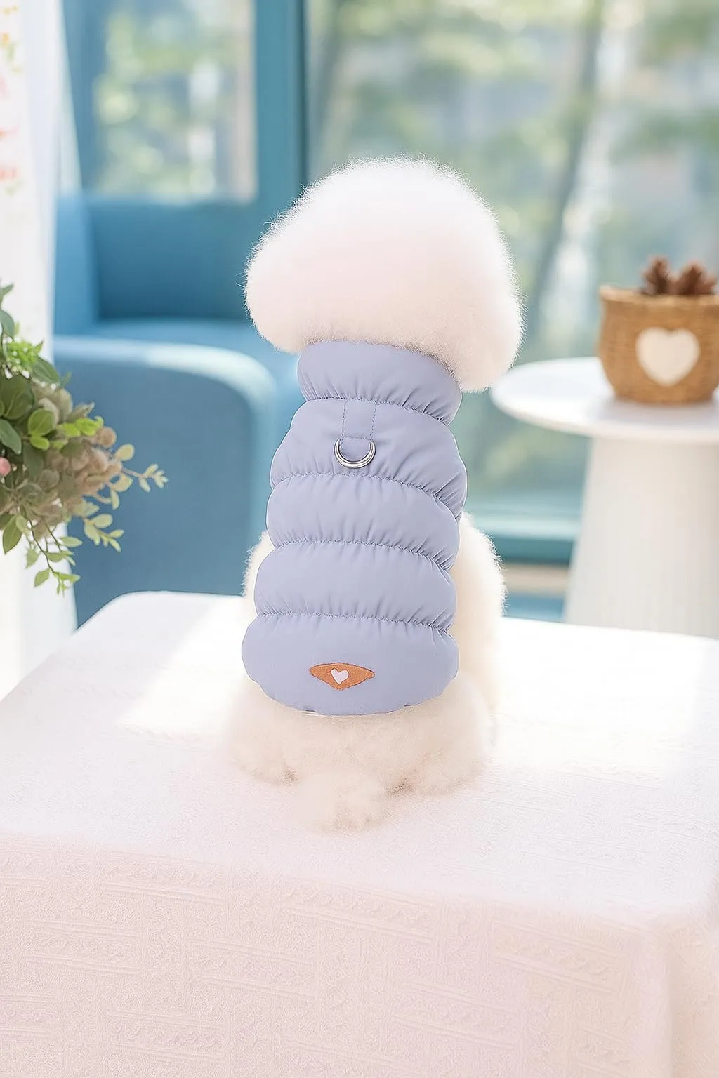 GIALEMO CAPPOTTINO CANE INVERNALE IMPERMEABILE E ANTIVENTO (XS) - immagine 5