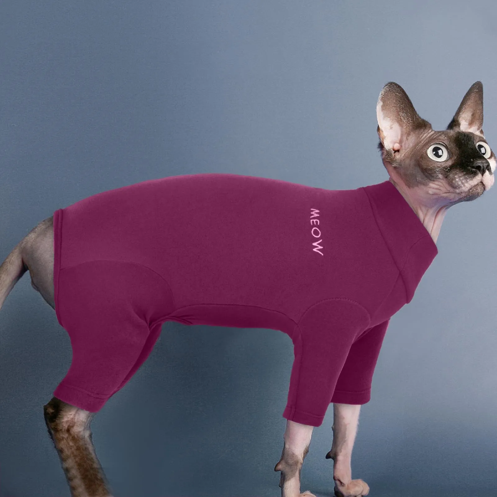 Vestiti per Gatti Sphynx, Pullover Gatti Maglia a Collo Alto per GattiSenza peli Felpa Calda Maglione Abbigliamento Invernale con Maniche per Sphynx/Cornish Rex/Devon Rex/Peterbald(Viola, M) - immagine 6