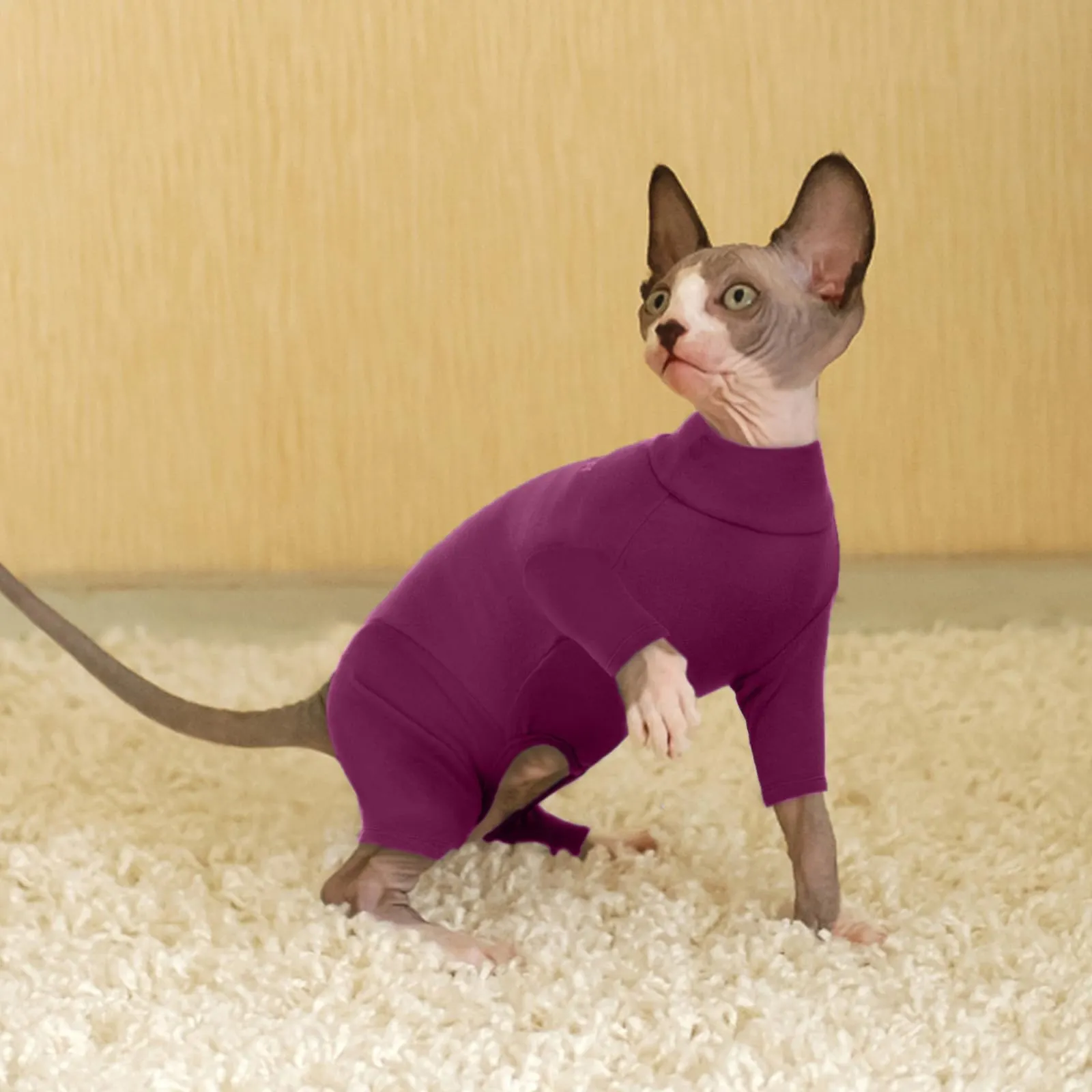 CappCappottino per Gatti Sphynx, Vestiti Invernali Maglioni Flecce Morbidi Maglietta Pigiam a Quattro Zampe Onesi per Gatti Sphynx Primavera Autunno Inverno(Viola, XL) - immagine 5