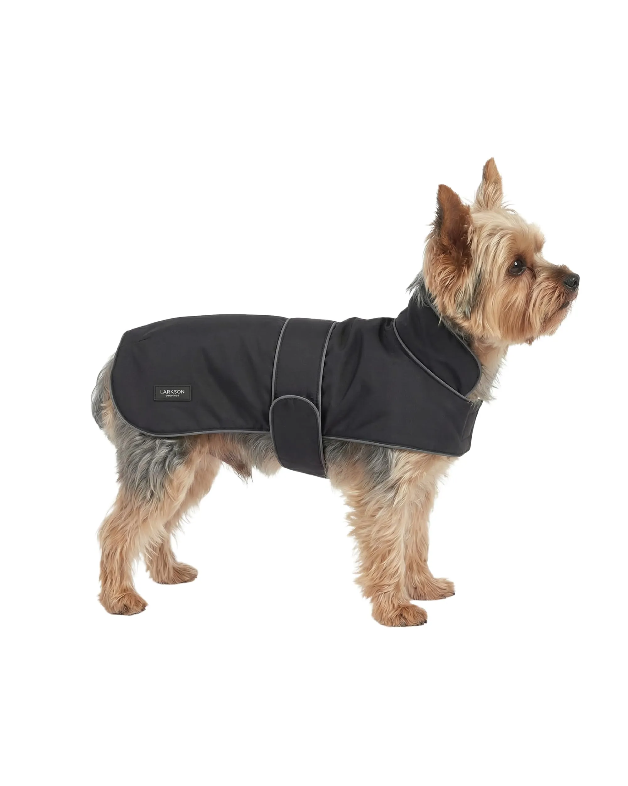 LARKSON Impermeabile per cani per Cani Nero – Jonte - immagine 1