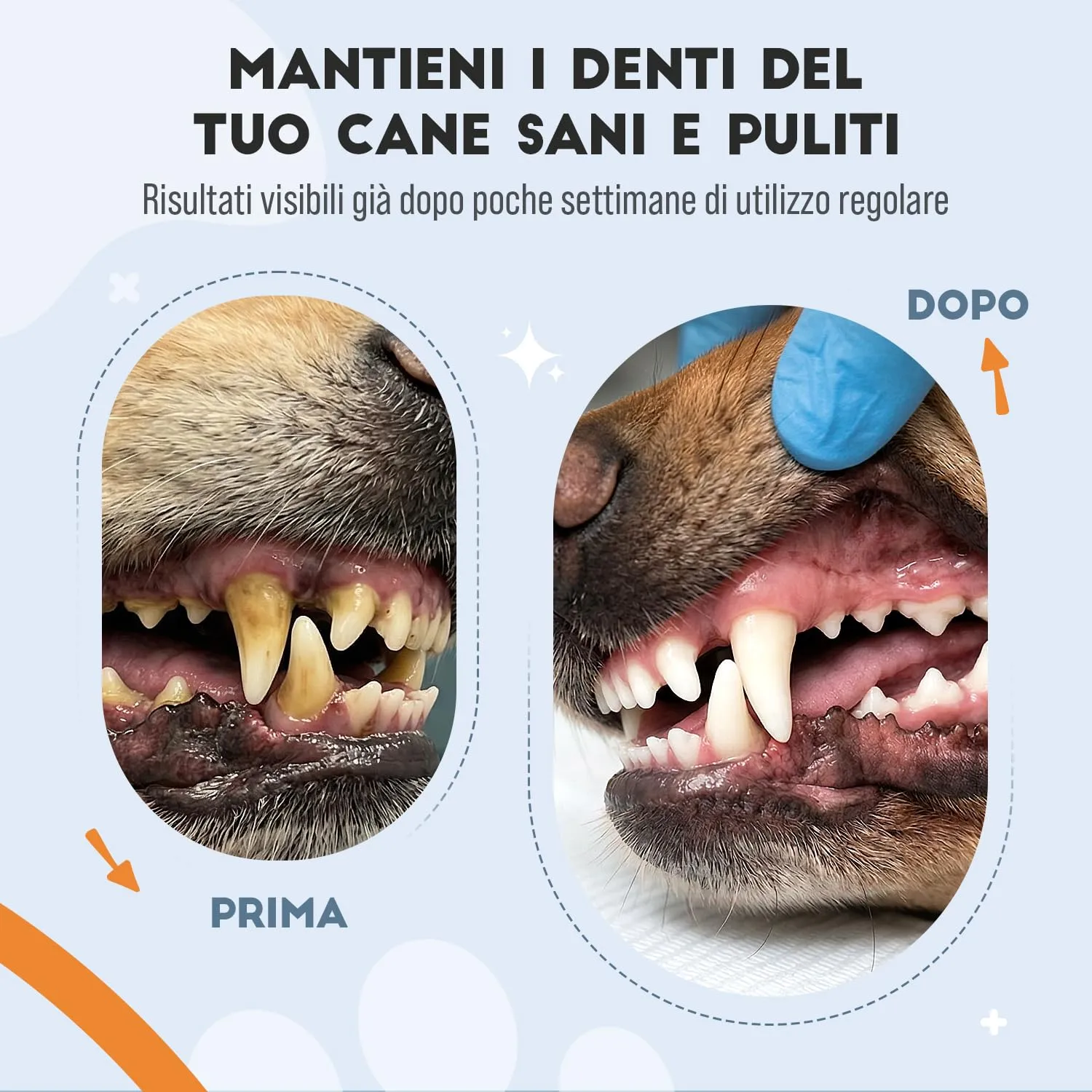 FloraPet Pulizia Denti Cane in Polvere con Alga Ascophyllum Nodosum, Contro Placca, Tartaro e Alito Cattivo, Senza Spazzolino, Igiene Orale Quotidiana con Pappa Reale e Vitamina C, 150 g - immagine 2