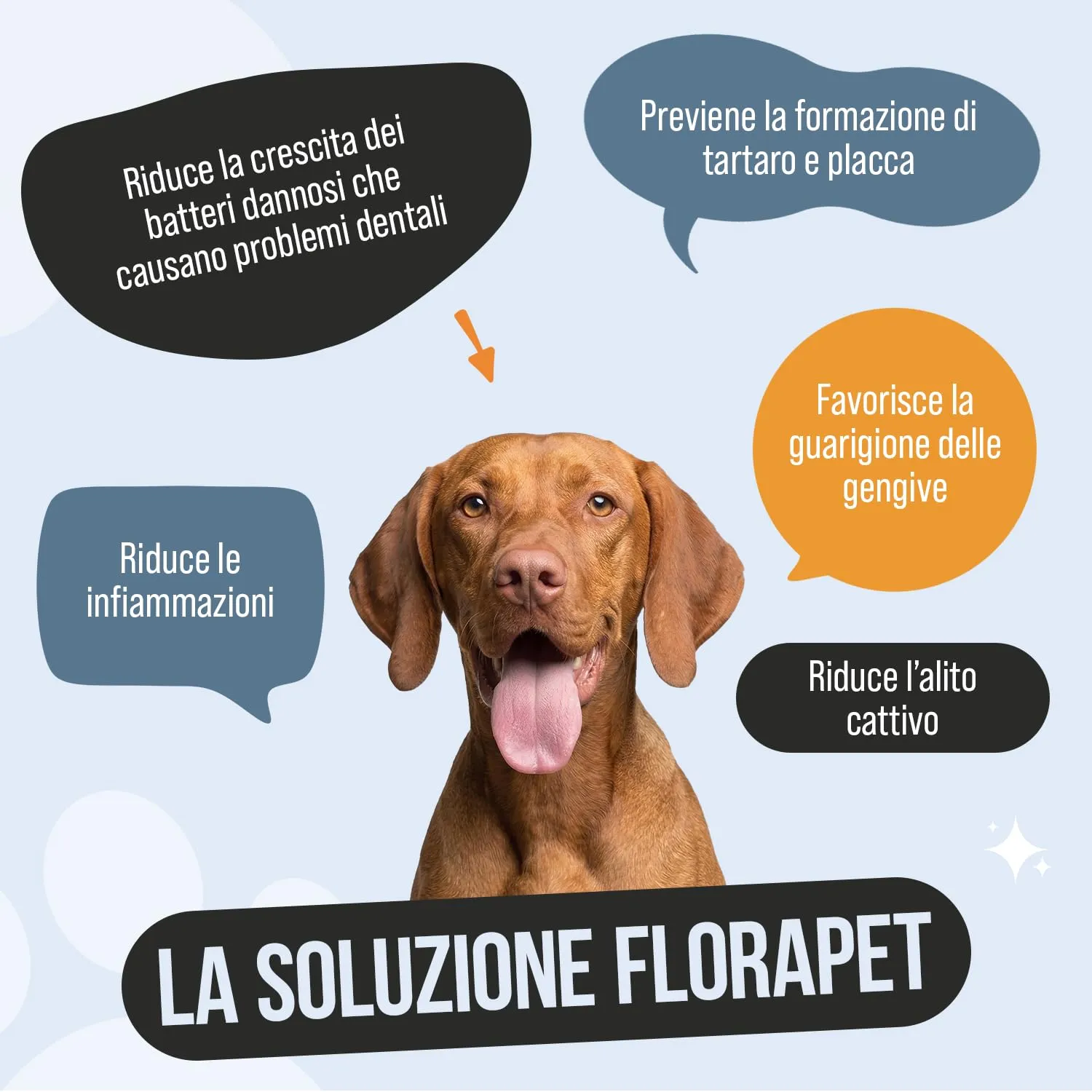 FloraPet Pulizia Denti Cane in Polvere con Alga Ascophyllum Nodosum, Contro Placca, Tartaro e Alito Cattivo, Senza Spazzolino, Igiene Orale Quotidiana con Pappa Reale e Vitamina C, 150 g - immagine 3