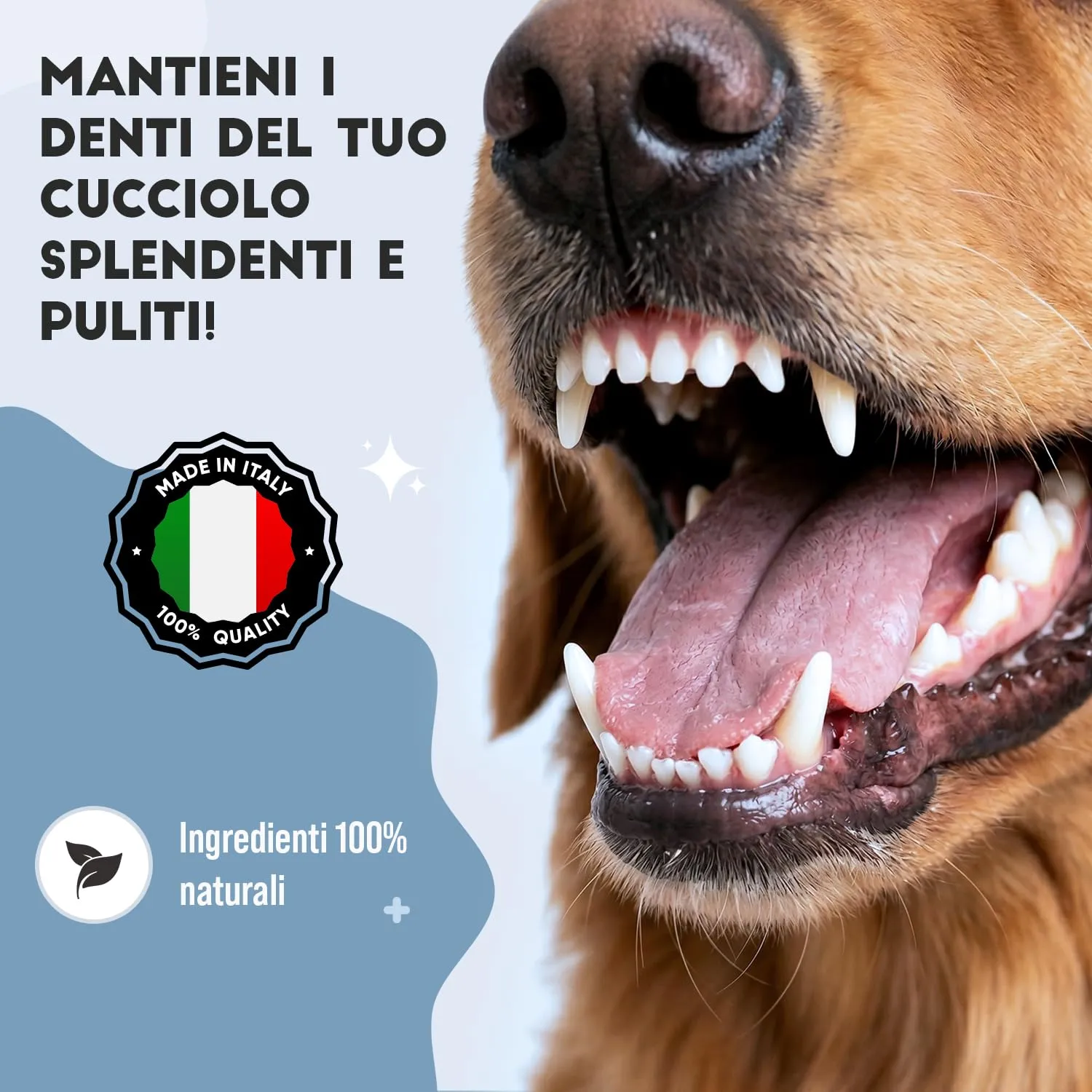 FloraPet Pulizia Denti Cane in Polvere con Alga Ascophyllum Nodosum, Contro Placca, Tartaro e Alito Cattivo, Senza Spazzolino, Igiene Orale Quotidiana con Pappa Reale e Vitamina C, 150 g - immagine 8