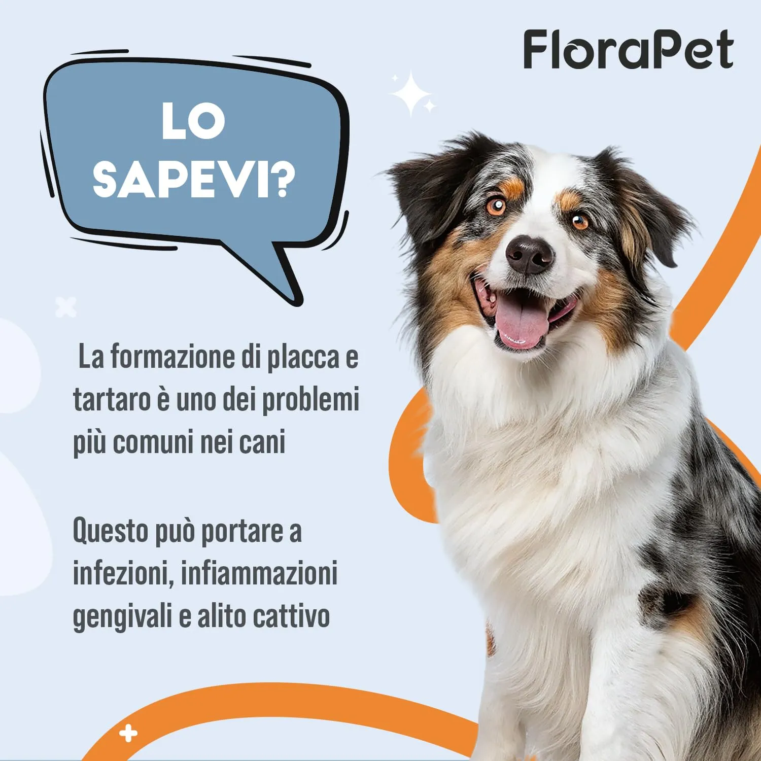 FloraPet Pulizia Denti Cane in Polvere con Alga Ascophyllum Nodosum, Contro Placca, Tartaro e Alito Cattivo, Senza Spazzolino, Igiene Orale Quotidiana con Pappa Reale e Vitamina C, 150 g - immagine 9