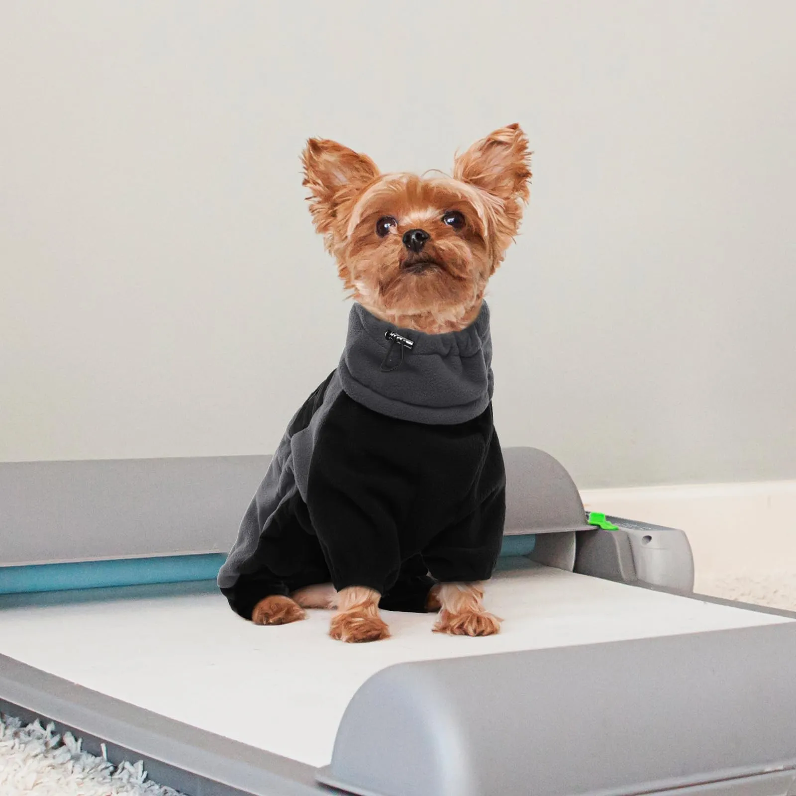 Gilet in pile per cane - Collo alto - Cappotto invernale caldo - Pigiama regolabile per cani di taglia media con collo alto rimovibile (grigio, M) - immagine 5