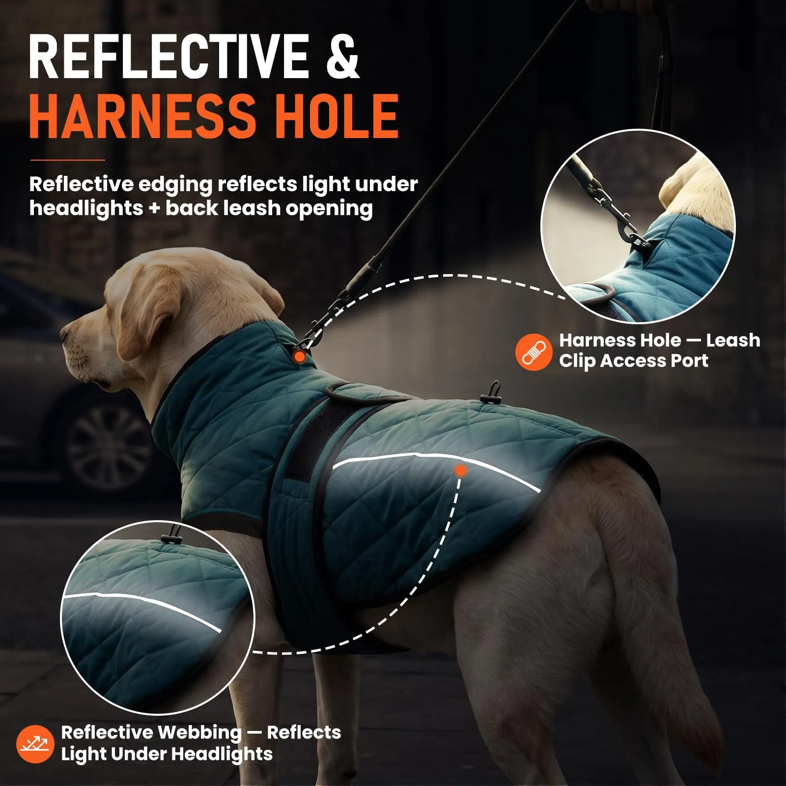 Poiinvc Abrigo Perro Cobertura Amplia Abdomen Forro Polar - immagine 5