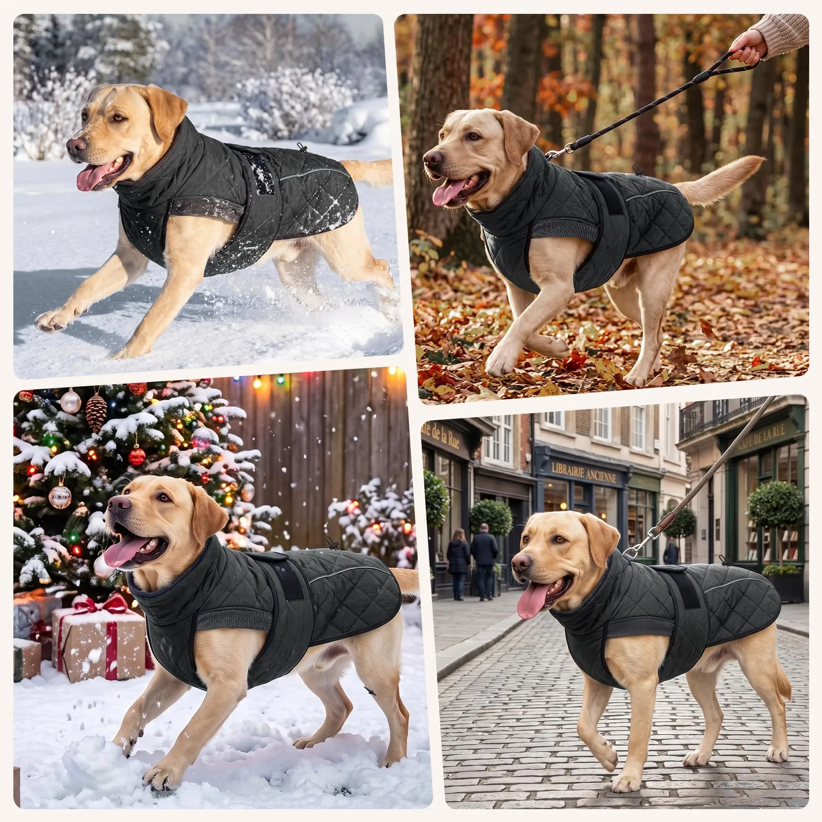 Poiinvc Abrigo Perro Cobertura Amplia Abdomen Forro Polar - immagine 7