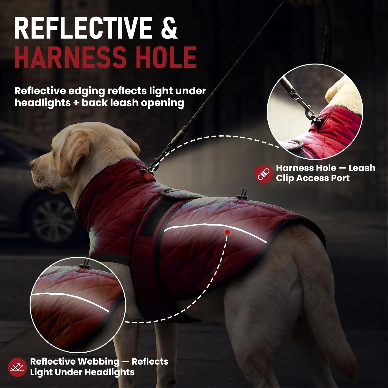 Poiinvc Abrigo Perro Cobertura Amplia Abdomen Forro Polar - immagine 5