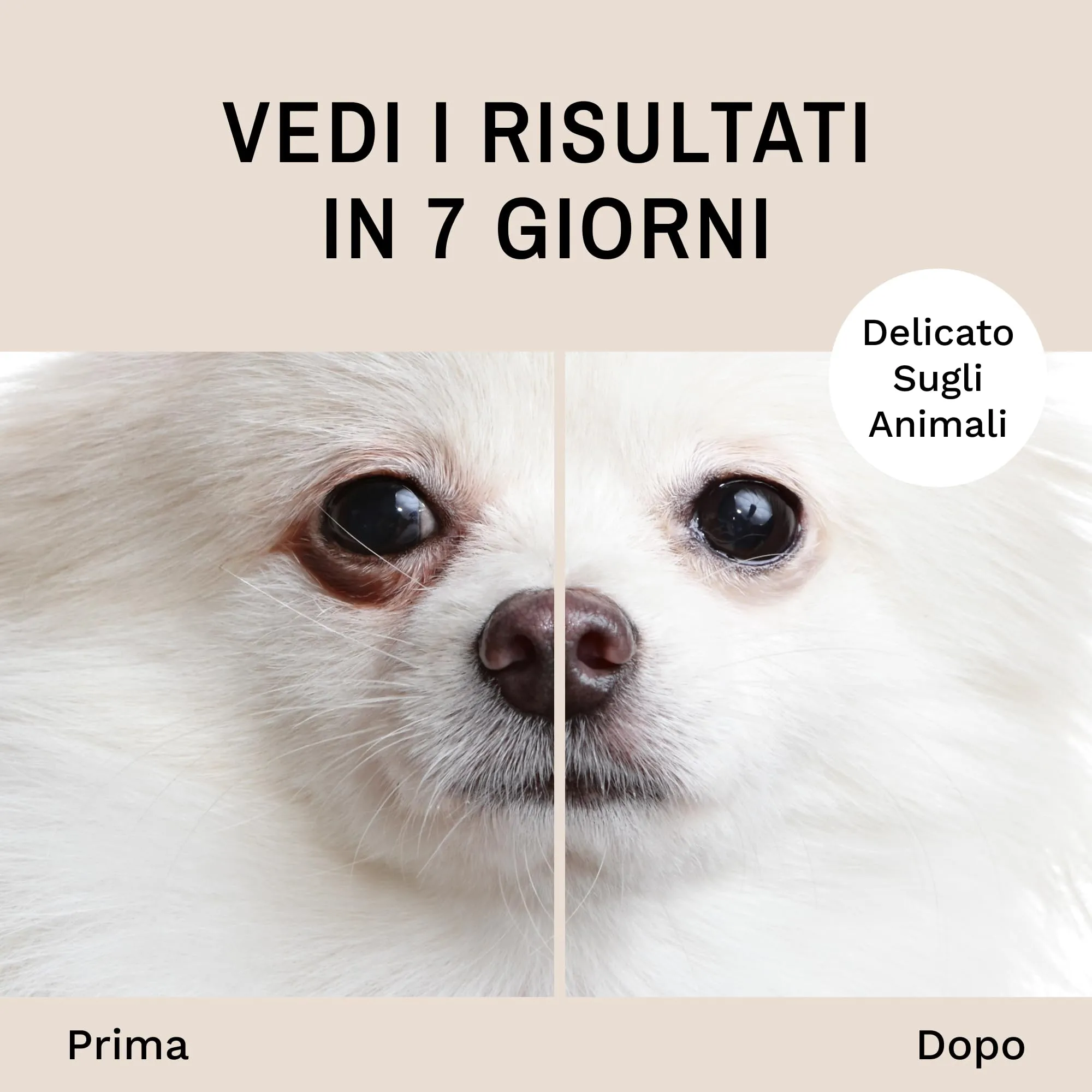 Eye Envy Polvere Sciogli Lacrime per Cani e Gatti. 100% Naturale, Sicura. da Applicare Contorno Occhi. Assorbe e Respinge Le Lacrime. Mantiene l'Area Asciutta. Tratta la Causa delle Macchie. (40g) - immagine 4