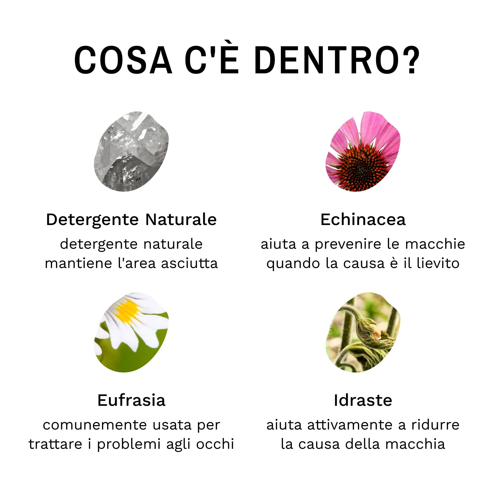 Eye Envy Polvere Sciogli Lacrime per Cani e Gatti. 100% Naturale, Sicura. da Applicare Contorno Occhi. Assorbe e Respinge Le Lacrime. Mantiene l'Area Asciutta. Tratta la Causa delle Macchie. (40g) - immagine 5