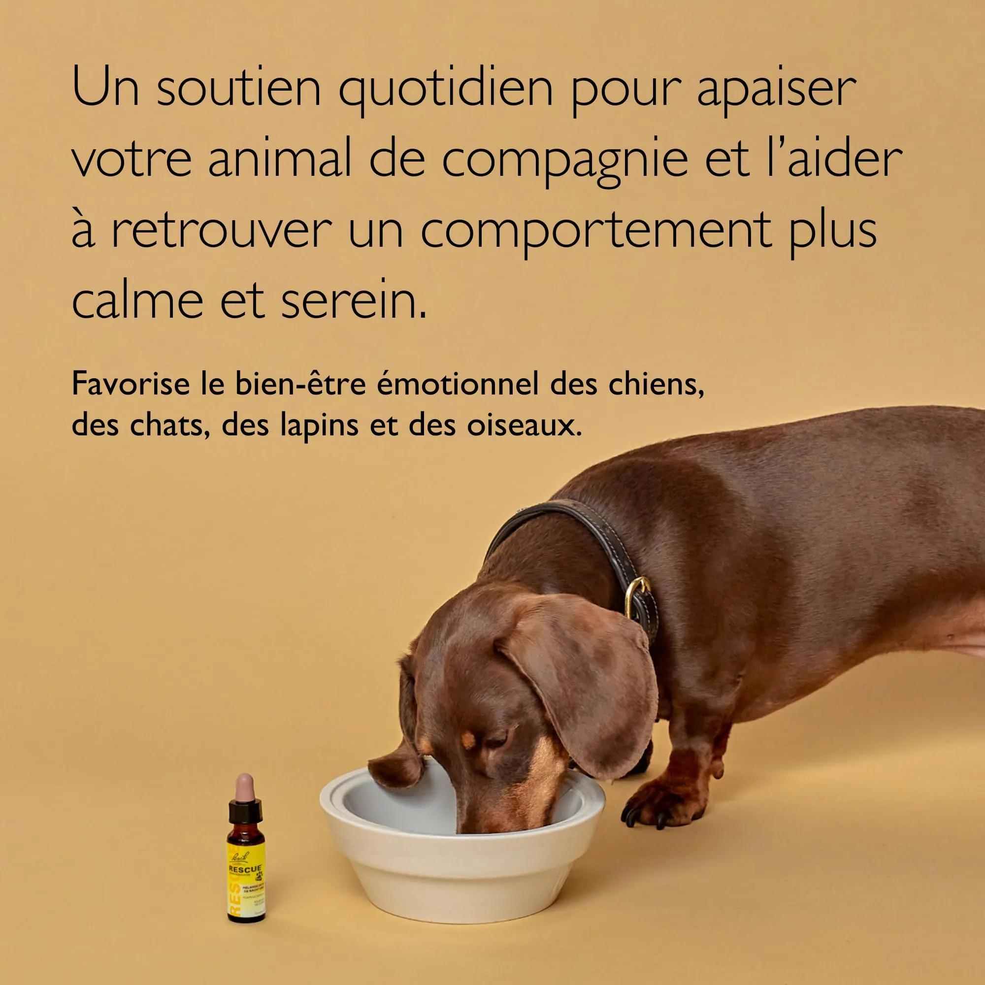 Rescue Pets Contagocce, Serenità a portata di mano per i nostri animali domestici, Vegano, Integratore alimentare per animali domestici, 1 Flacone Conto Gocce, Giallo, 10ml - immagine 3