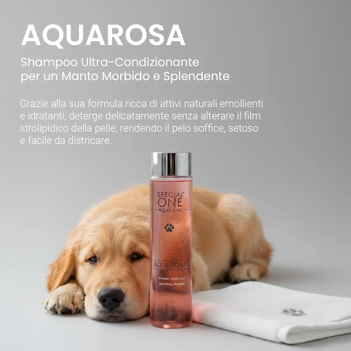 SPECIAL ONE - AQUAROSA - Shampoo Cani - Ultra-Condizionante per Manto Morbido e Splendente - Per Lavaggi Frequenti ed ogni Tipo di Pelo - Deterge delicatamente e Idrata in Profondità - 250 ml - immagine 2