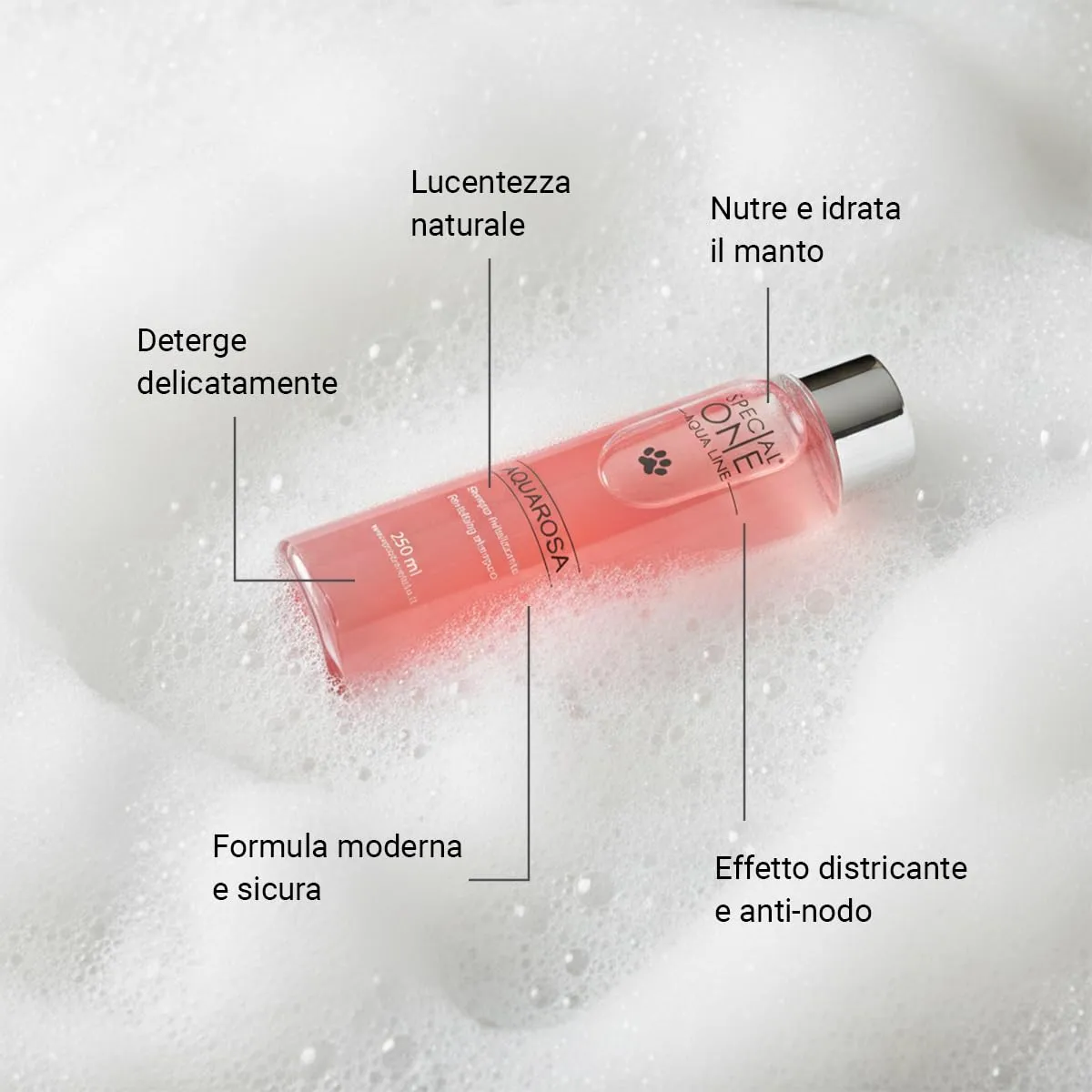 SPECIAL ONE - AQUAROSA - Shampoo Cani - Ultra-Condizionante per Manto Morbido e Splendente - Per Lavaggi Frequenti ed ogni Tipo di Pelo - Deterge delicatamente e Idrata in Profondità - 250 ml - immagine 3