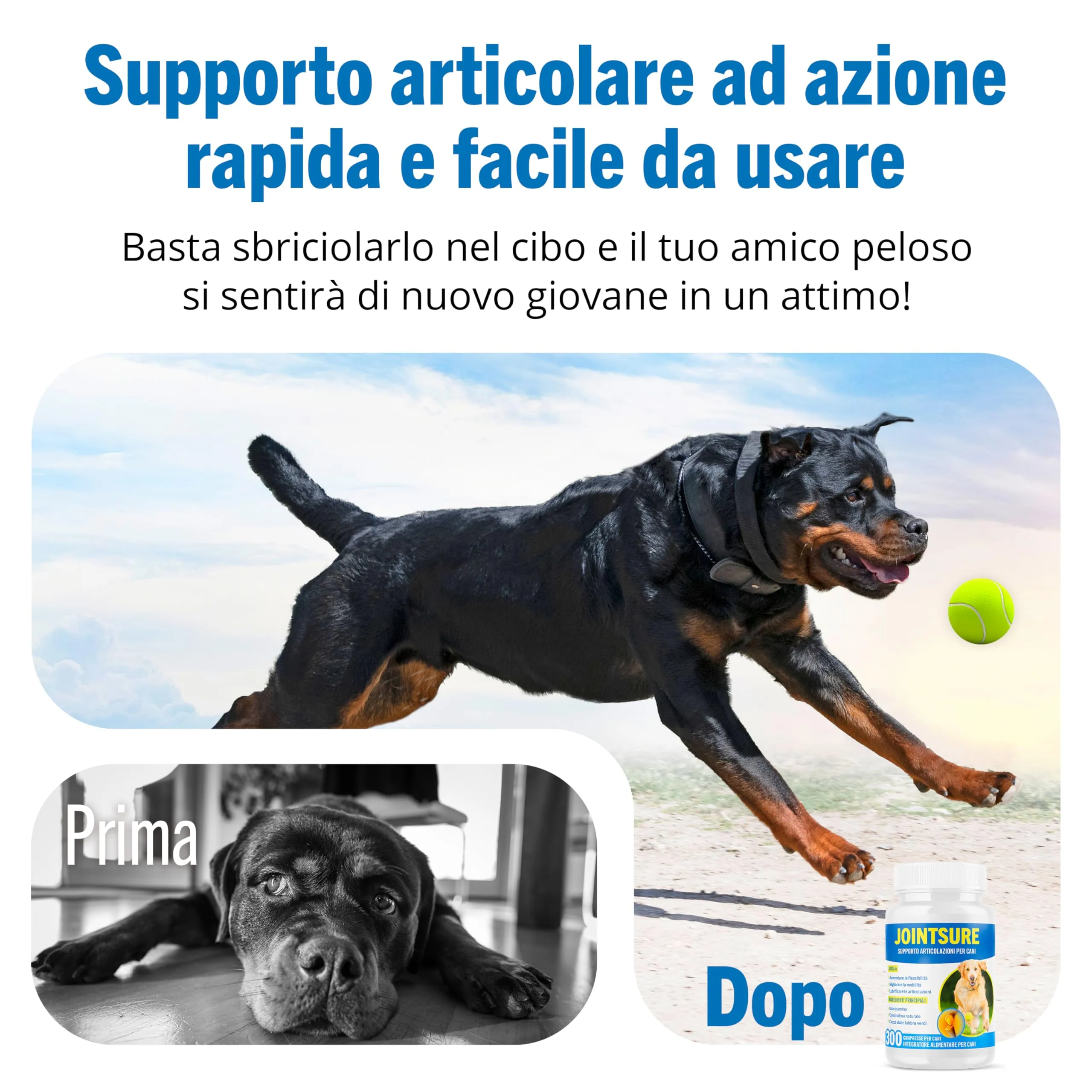 JOINTSURE Integratore per Le Articolazioni del Cane 300 Compresse| Supporta la Mobilità e Le Articolazioni di Cani Anziani e Adulti Condoprotettori per Cane con Glucosamina, Condroitina, Cozza Verde… - immagine 4