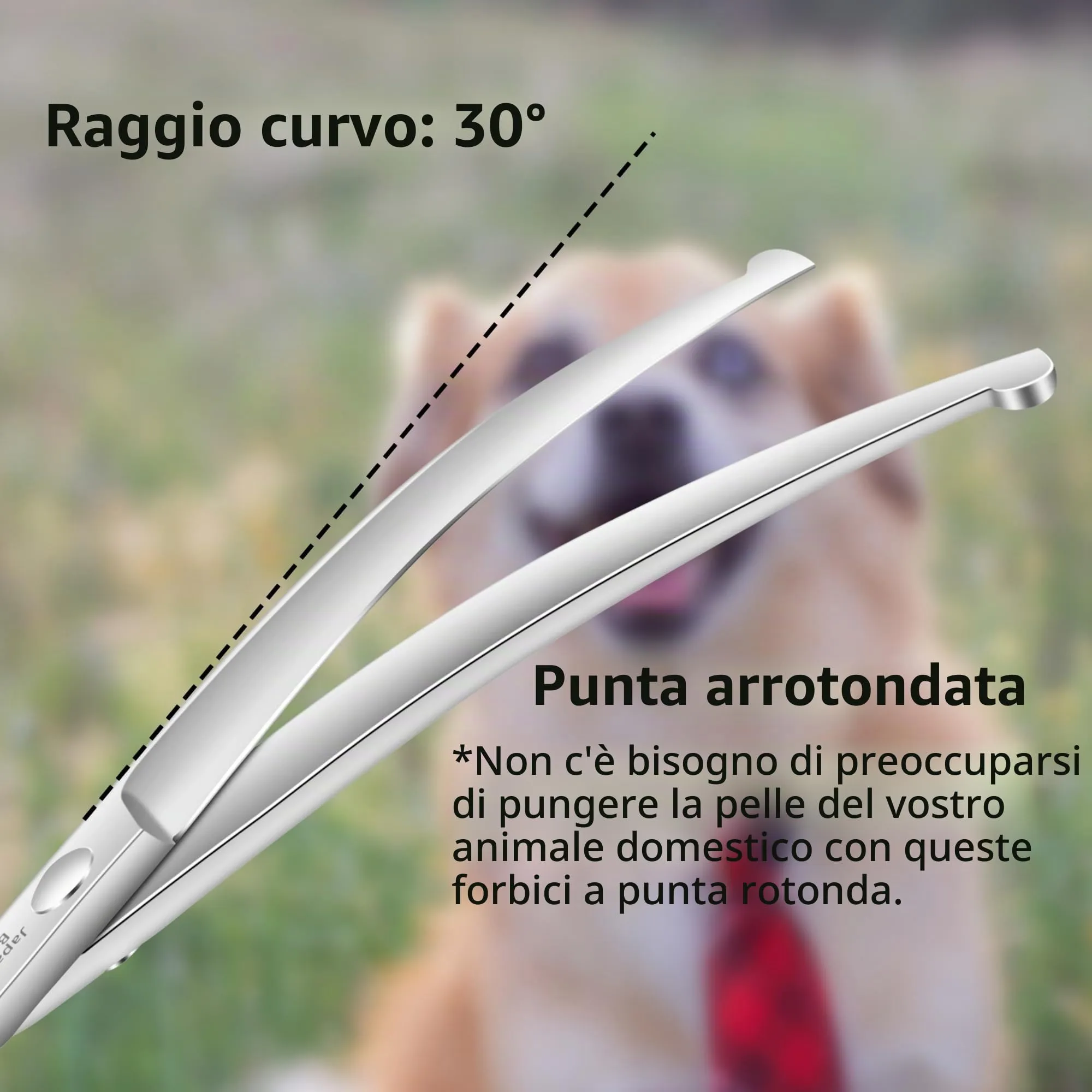 HASHIMOTO Forbici da toelettatura per cani curve con punte rotonde di sicurezza, 6,5 pollici, lama curva, peso leggero, nessuna pugnalata con punta smussata. - immagine 3
