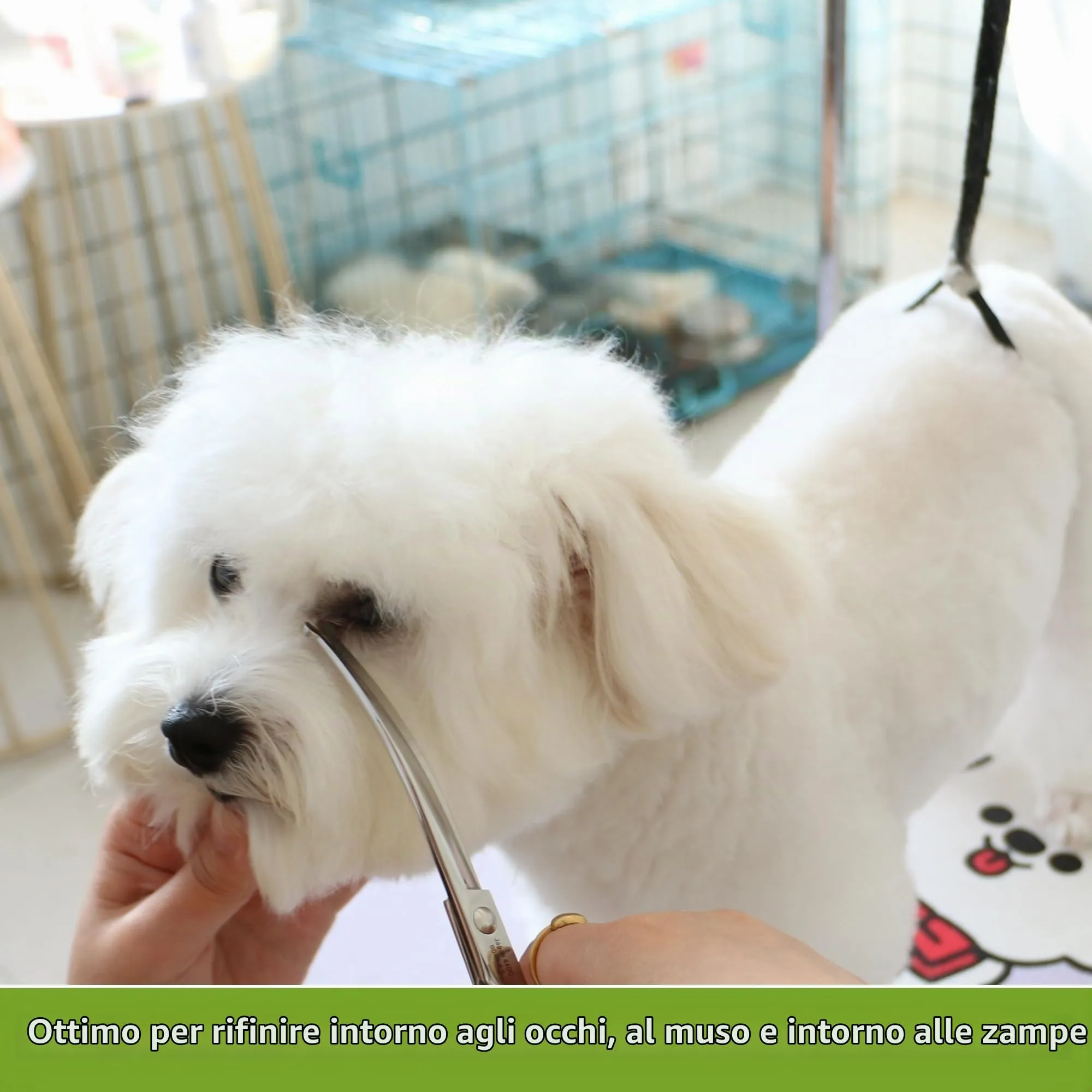 HASHIMOTO Forbici da toelettatura per cani curve con punte rotonde di sicurezza, 6,5 pollici, lama curva, peso leggero, nessuna pugnalata con punta smussata. - immagine 4