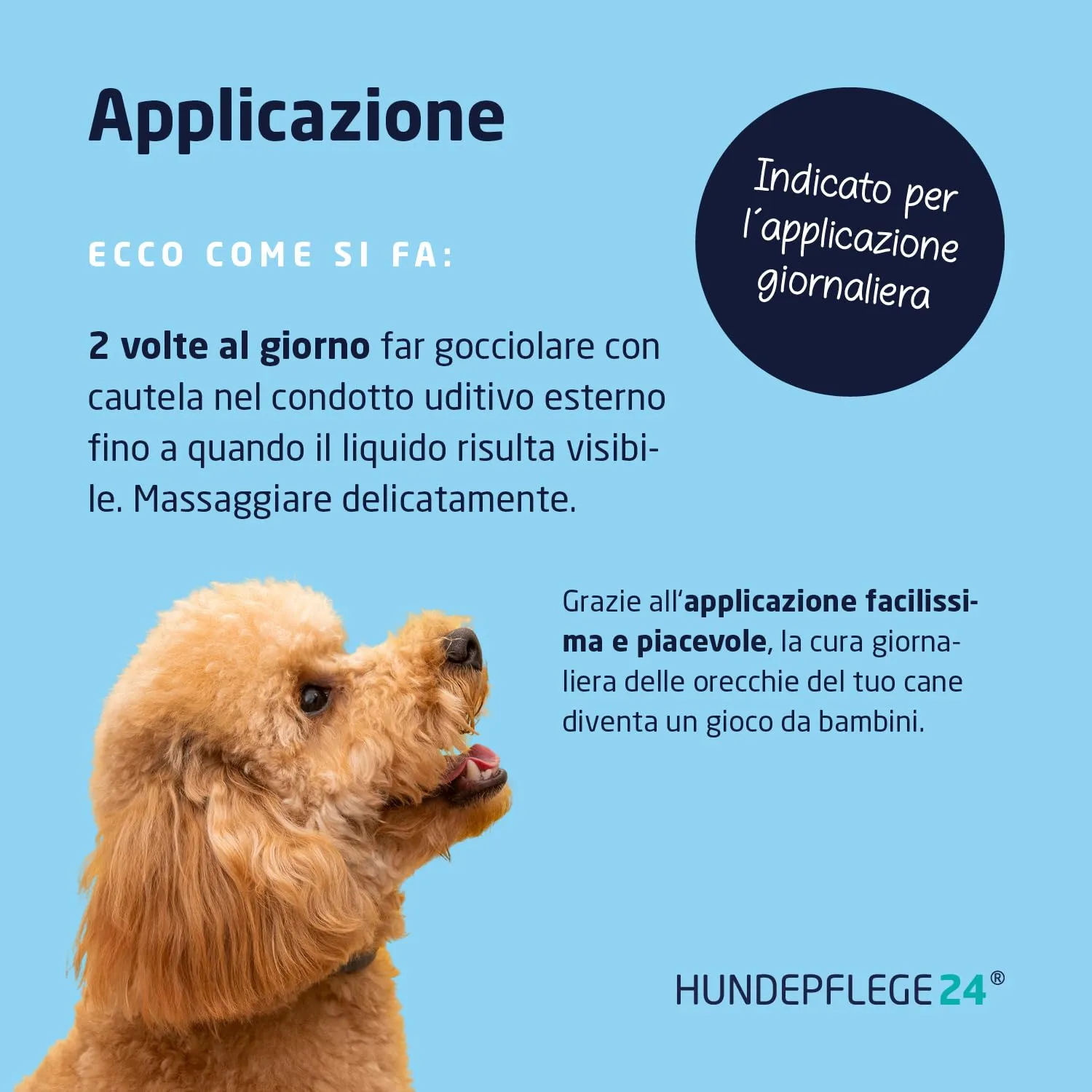 Hundepflege24 detergente Auricolare Cane - Diminuisce prurito, scuotimenti della Testa e Cattivi odori in pochi Giorni - Pulizia Orecchie Cane/Gocce Orecchie Cani e Gatti 250ml - immagine 4