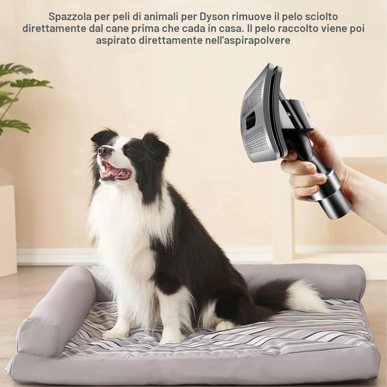 munloo Groom Spazzola per Cani di Pelo Medio/Lungo, Spazzola Aspira Peli Animali con Tubo e Fermo Tasto di Accensione, per Aspirapolvere V7 V8 V10 V11 V12 V15 - immagine 4