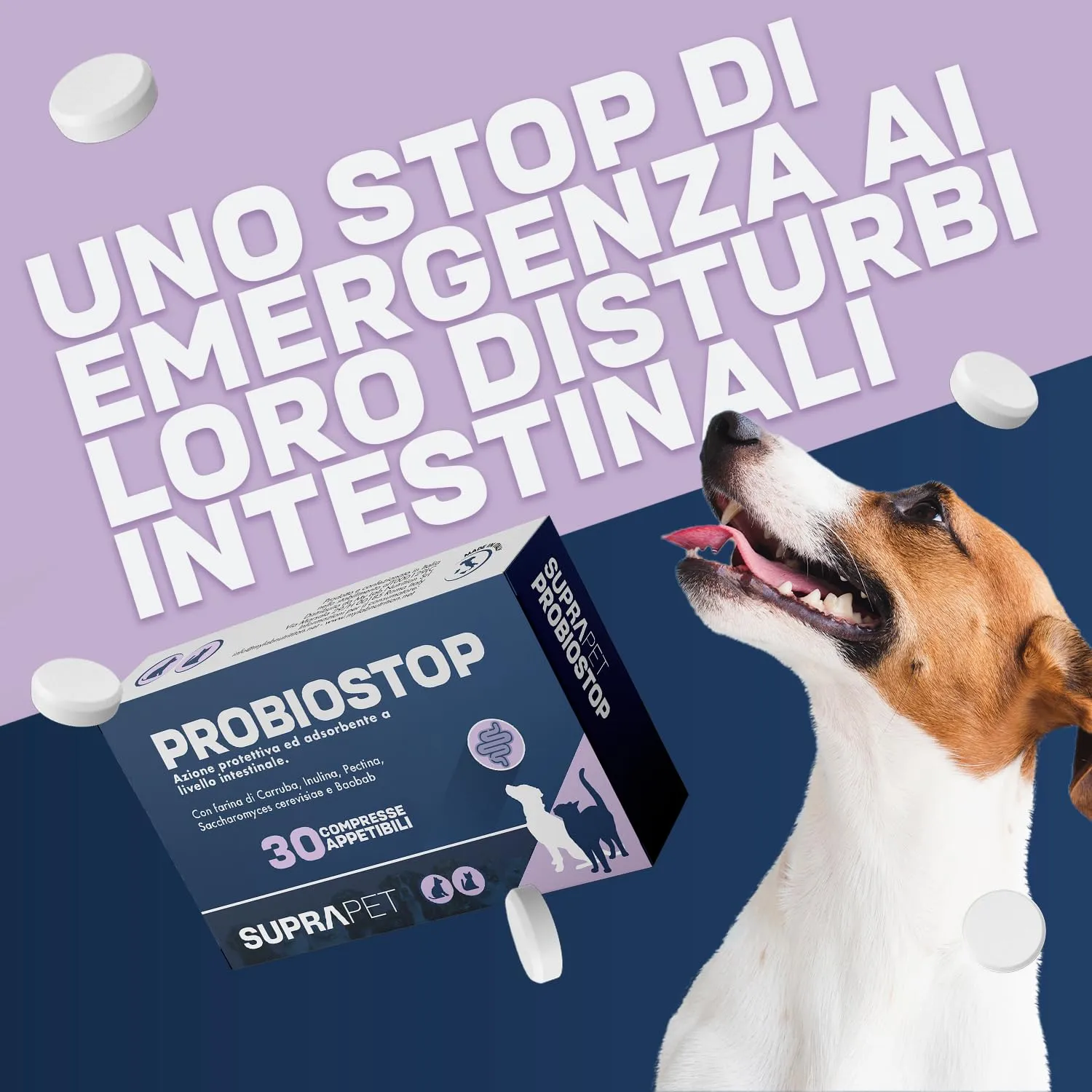 Suprapet Probiostop Probiotici Cane e Gatto 60 compresse - Contrasta la Diarrea ed i Disturbi della Digestione - Supporto per Flora Batterica dell'Intestino (60 Unità (Confezione da 2)) - immagine 5