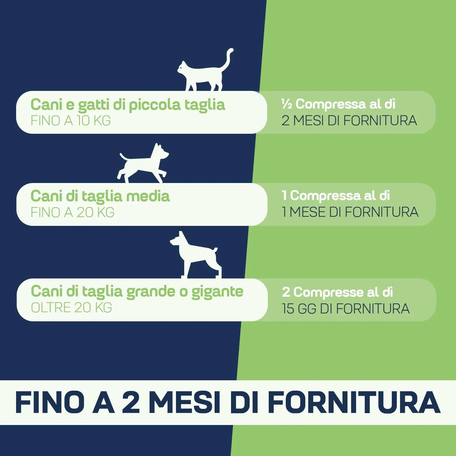 Suprapet Flora intestinale Cani e Gatti 60 compresse - Fino a 4 Mesi di Fornitura, con Fermenti Lattici, Probiotici, Vitamina C - Per Intestino e Flora Batterica - immagine 4