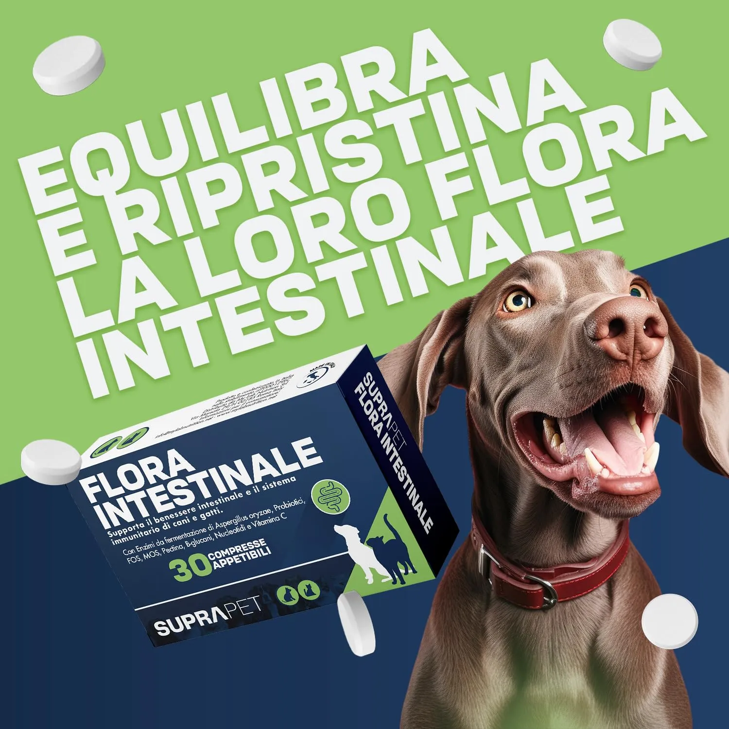 Suprapet Flora intestinale Cani e Gatti 60 compresse - Fino a 4 Mesi di Fornitura, con Fermenti Lattici, Probiotici, Vitamina C - Per Intestino e Flora Batterica - immagine 5