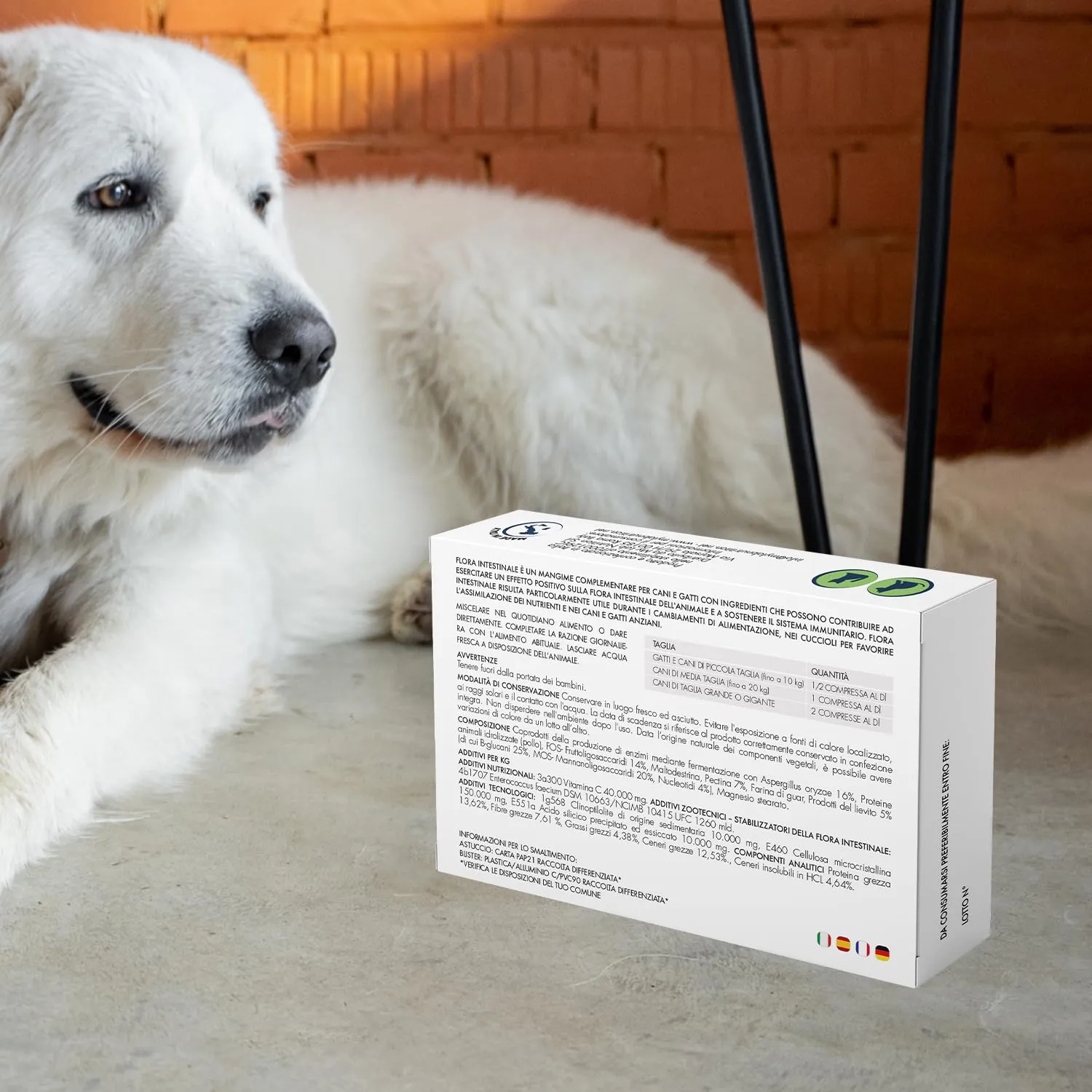 Suprapet Flora intestinale Cani e Gatti 60 compresse - Fino a 4 Mesi di Fornitura, con Fermenti Lattici, Probiotici, Vitamina C - Per Intestino e Flora Batterica - immagine 6