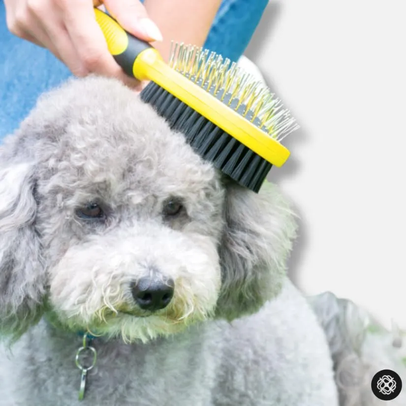 Animal House Spazzola Duo-Care Comfort, 2in1 - immagine 6