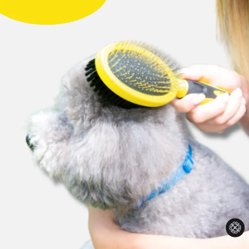 Animal House Spazzola Duo-Care Comfort, 2in1 - immagine 7