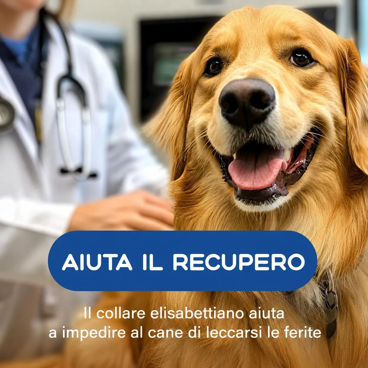 Collare Elisabettiano Cane Morbido (Taglia XL, Collo 47-55 cm), Collare Gonfiabile Blu, Post Operatorio e Anti Leccamento, Ciambella Cane Post Intervento per Recupero da Ferite e Operazioni (Blu XL) - immagine 8