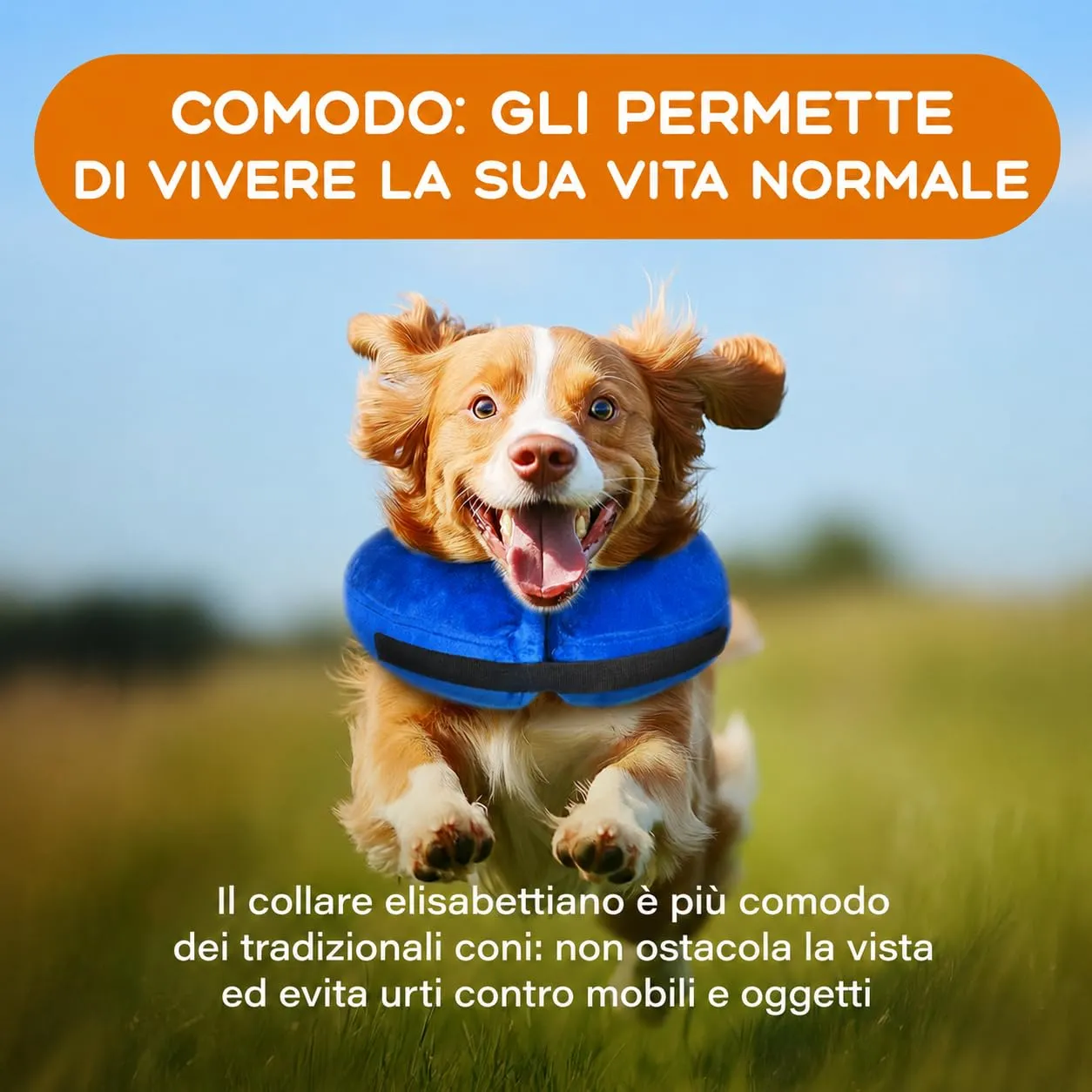 Collare Elisabettiano Cane Morbido (Taglia M+, Collo 34-39 cm), Collare Gonfiabile Blu, Post Operatorio e Anti Leccamento, Ciambella Cane Post Intervento per Recupero da Ferite e Operazioni (Blu M+) - immagine 4