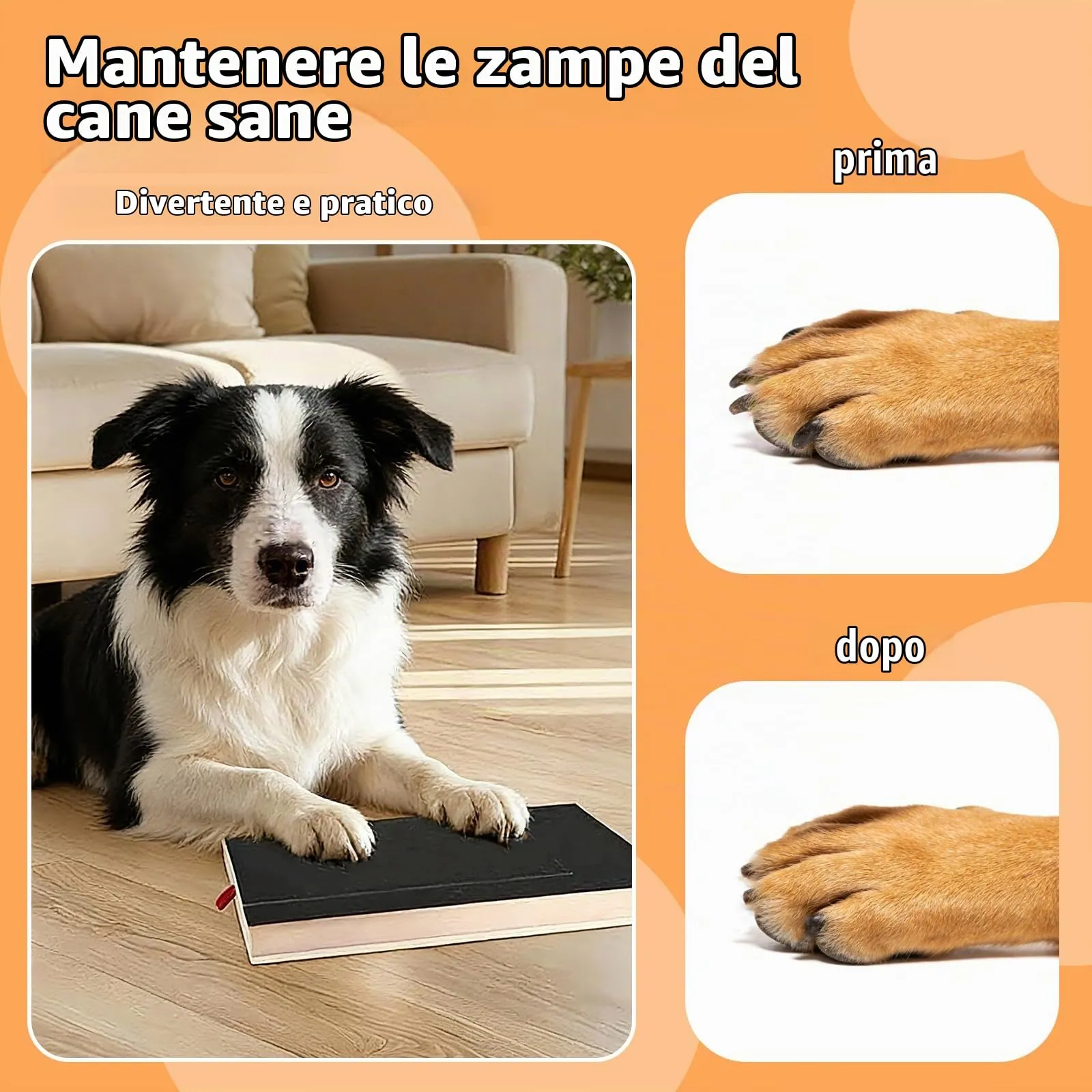 Tiragraffi per Cani, 35 x 25 x 3 cm, Tappetino per Unghie per Canis, Gratta e Graffio per Cani con Scatola per Snack, con 2 Fogli di Carta Vetrata di Ricambio e Tappetini Antiscivolo - immagine 4