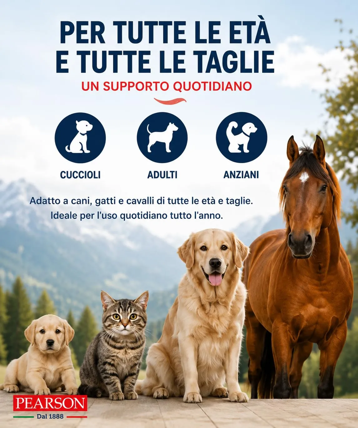 PEARSON Olio di Salmone per Cani e Gatti 1000ML, 100% Puro Naturale - immagine 7