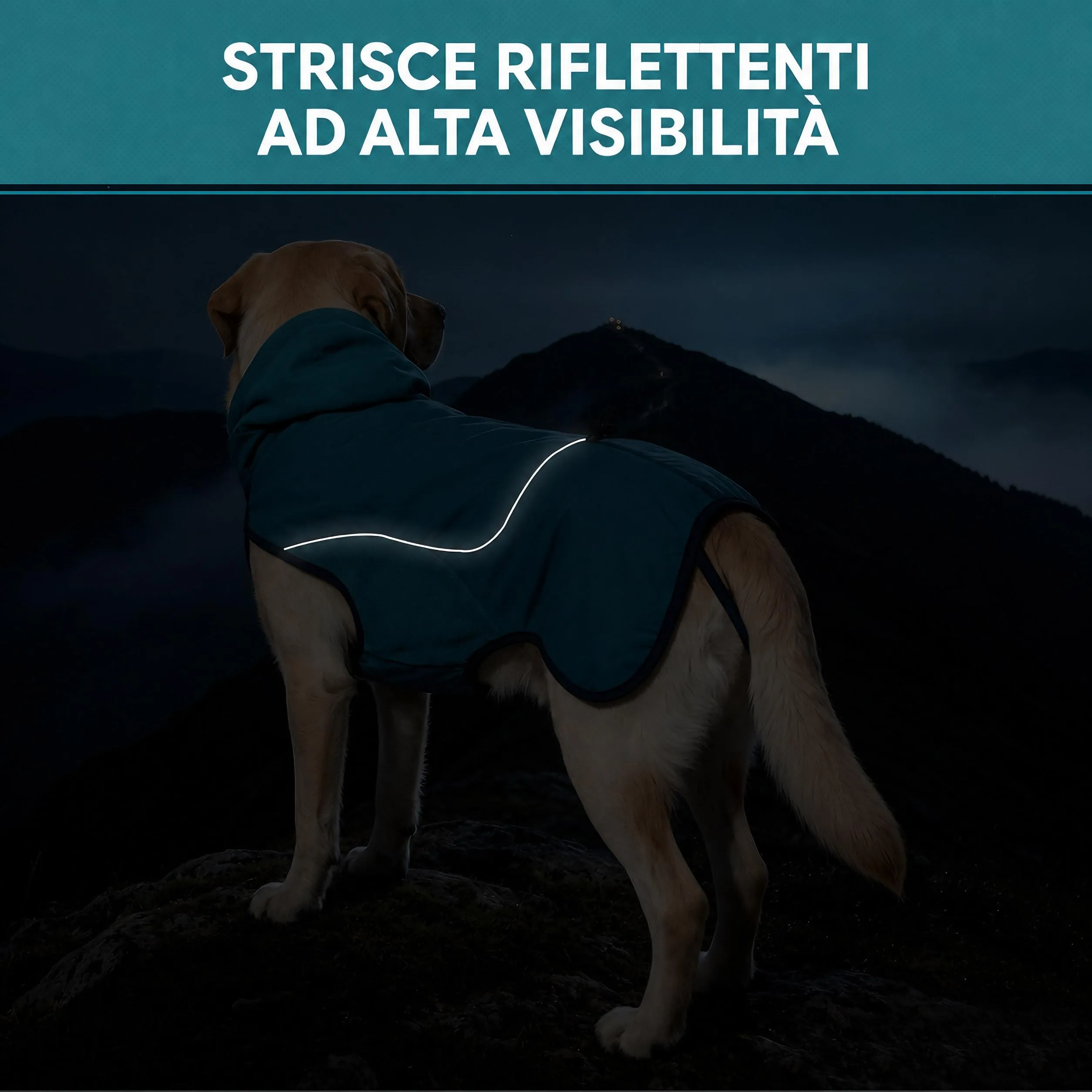 Cappotto Cane Impermeabile Cappottino Invernale per Cani Giacca Caldo - immagine 5